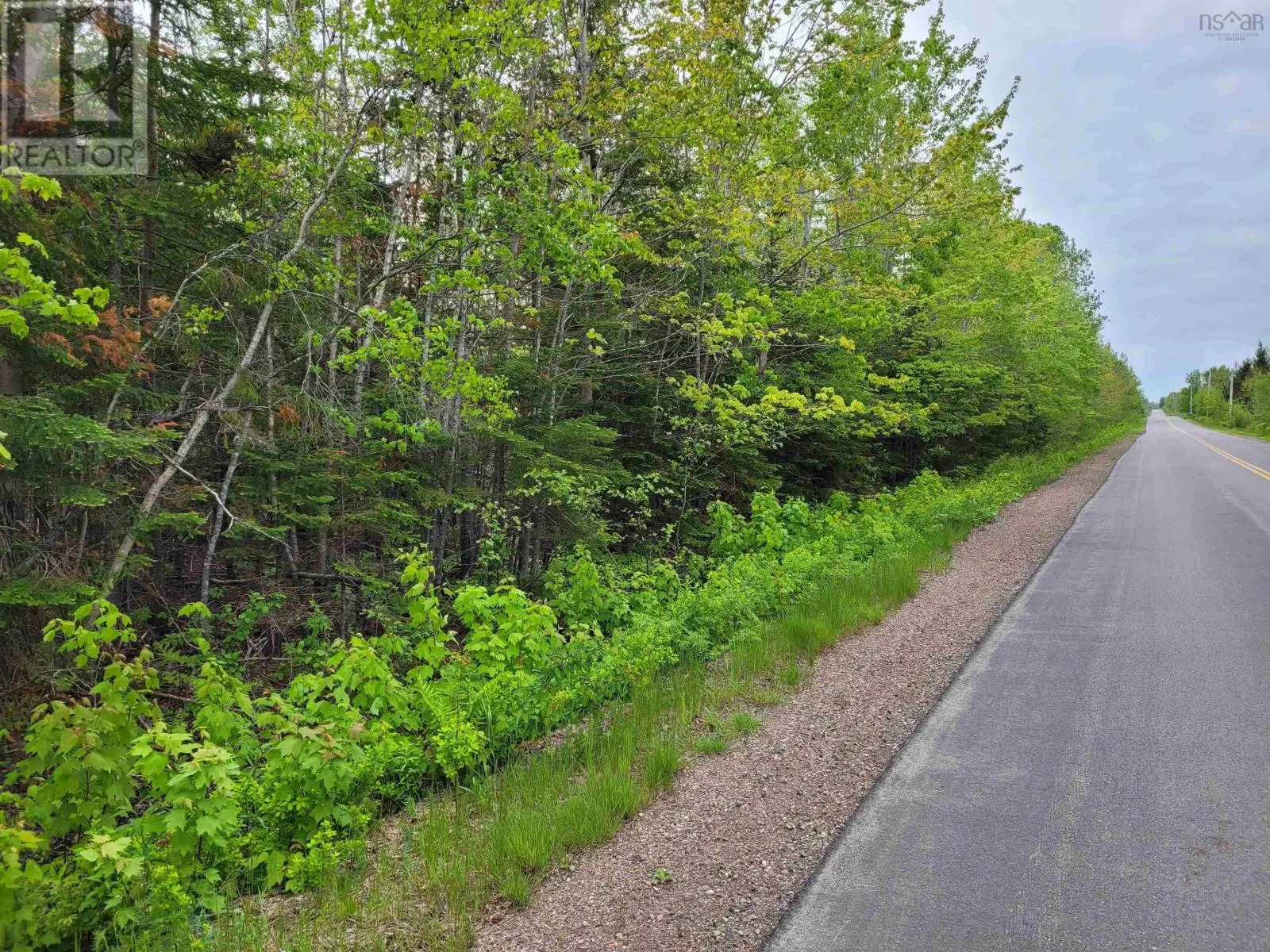 Tattrie Settlement Road