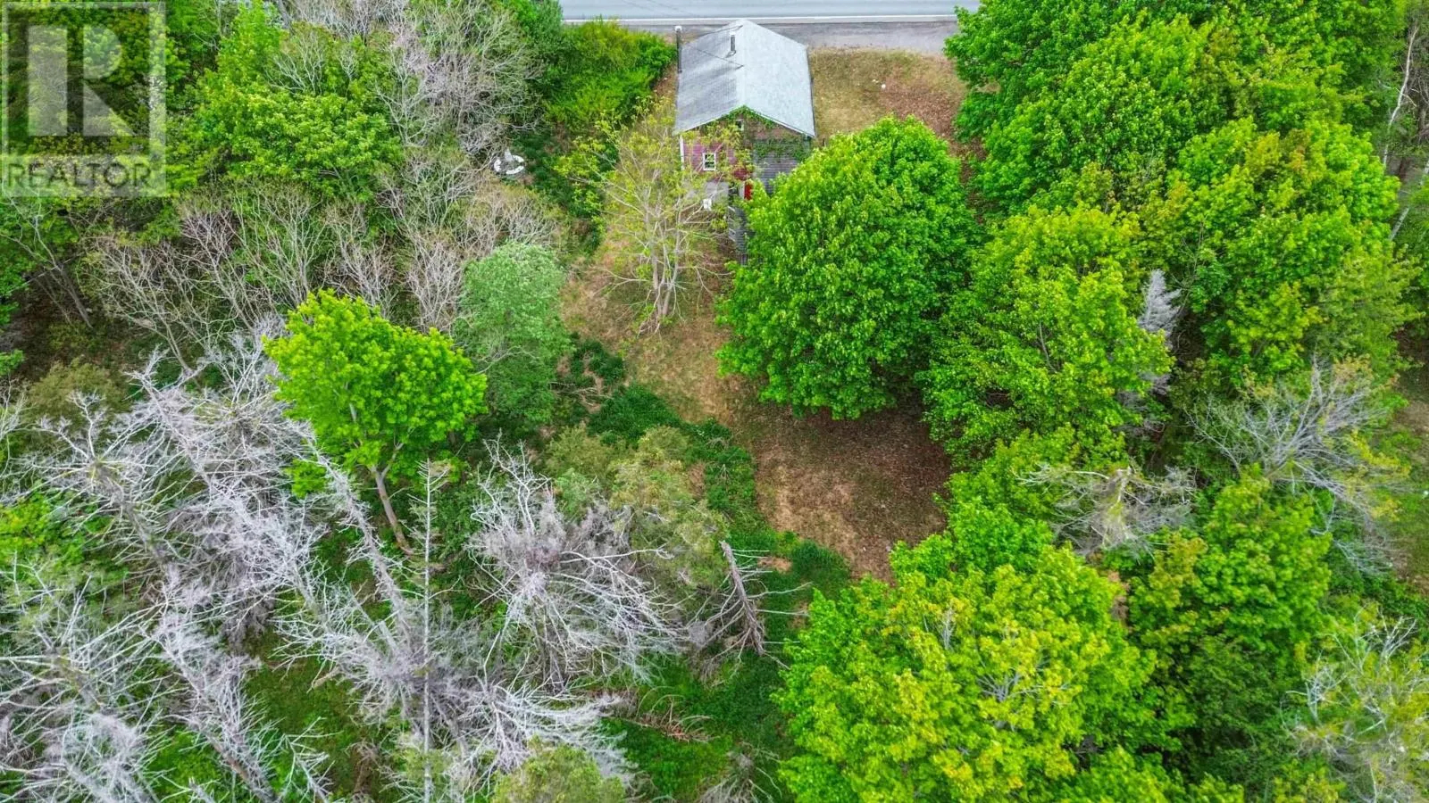 8721 Highway 101