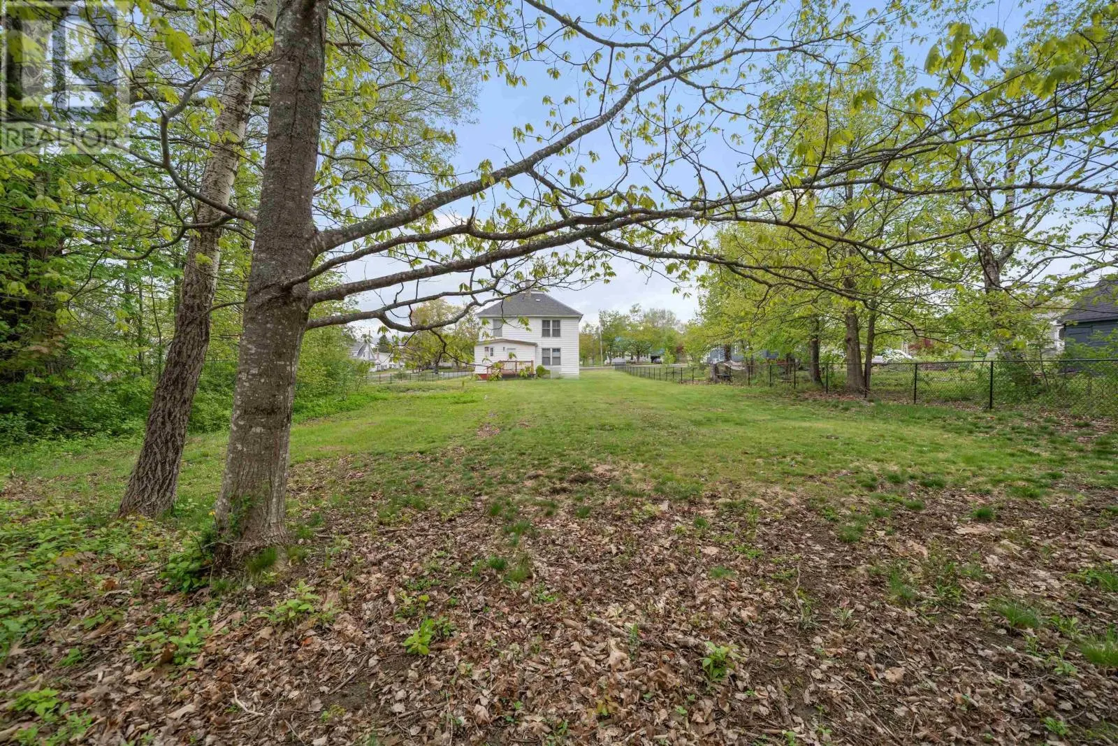 15 McDougal Street