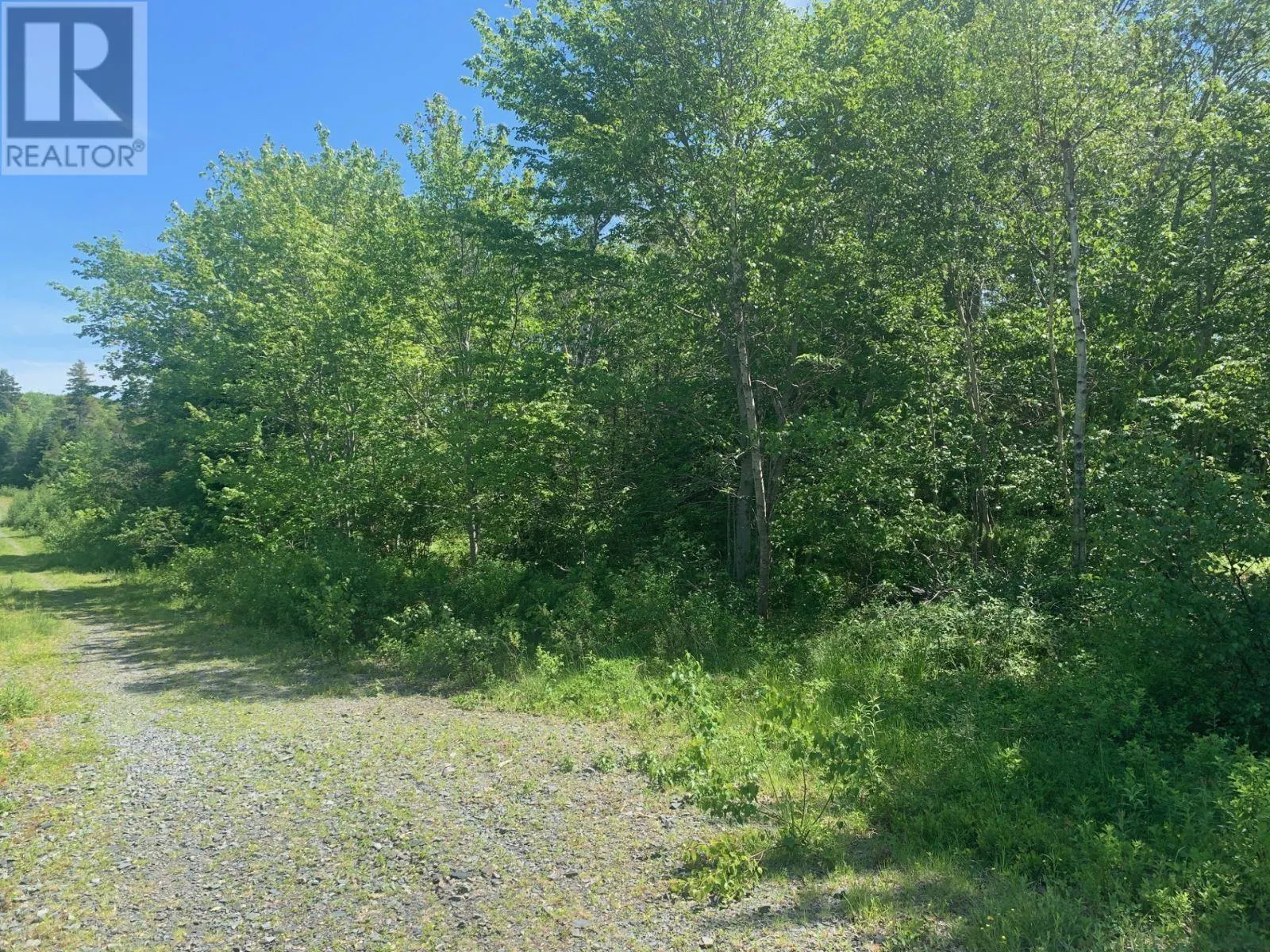 Lot 609-A White Hills Run