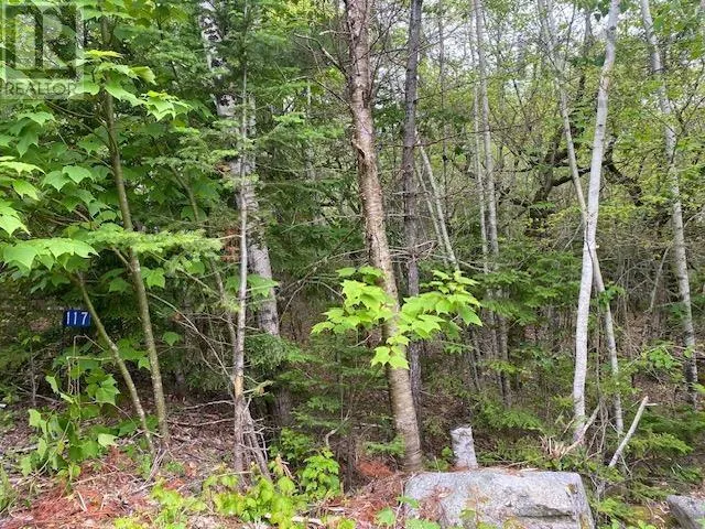 117 Shore Road