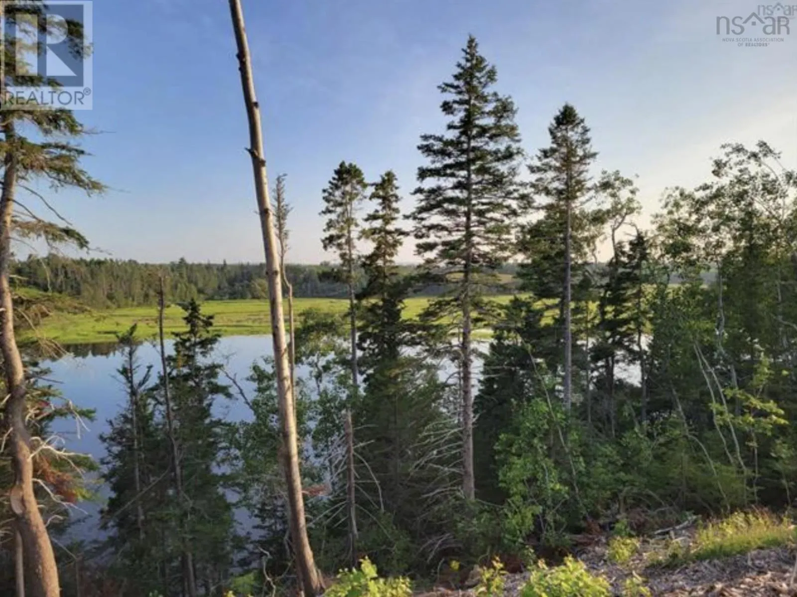 LOT 6 Tattrie Settlement Road