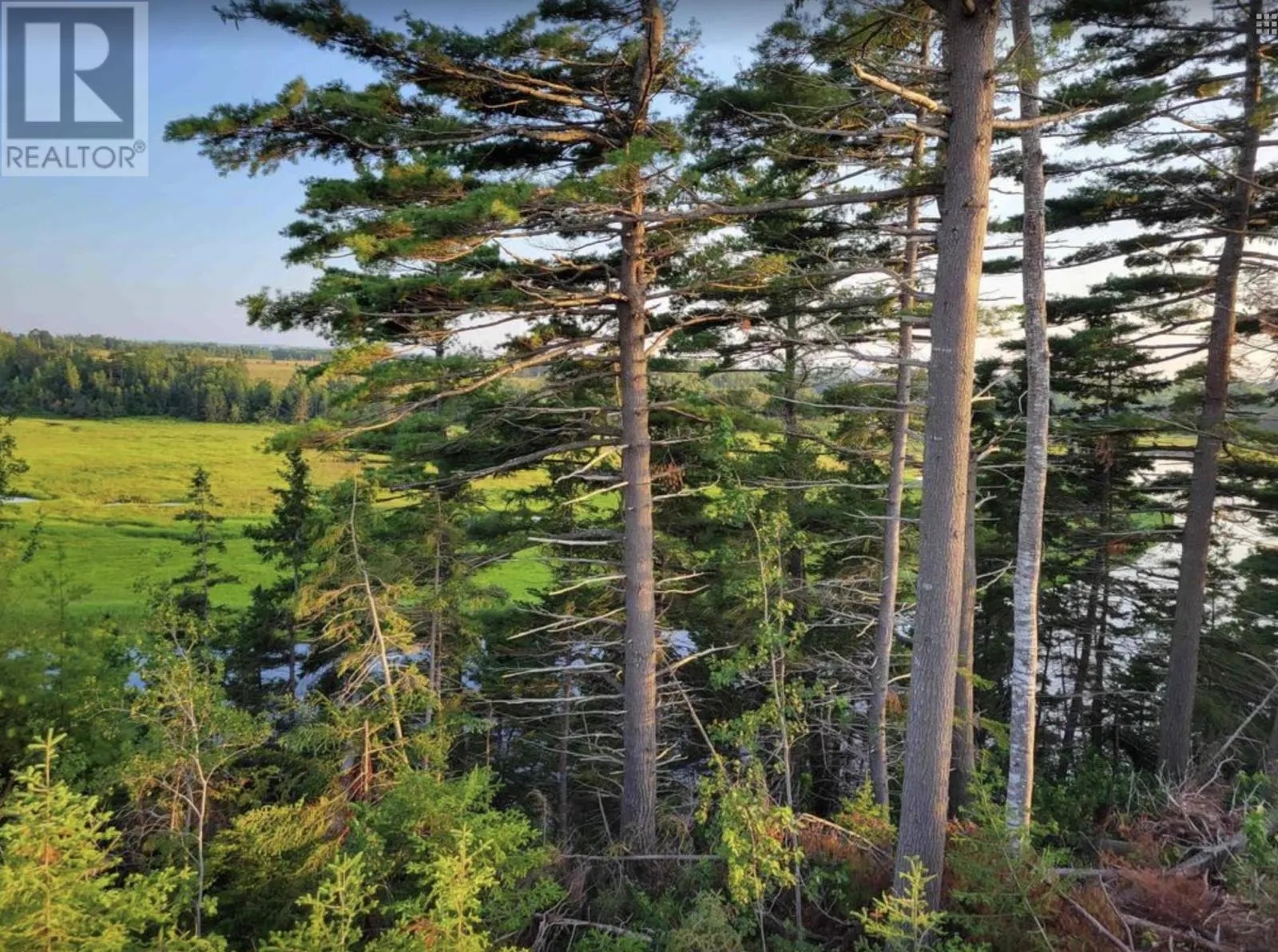 LOT 6 Tattrie Settlement Road
