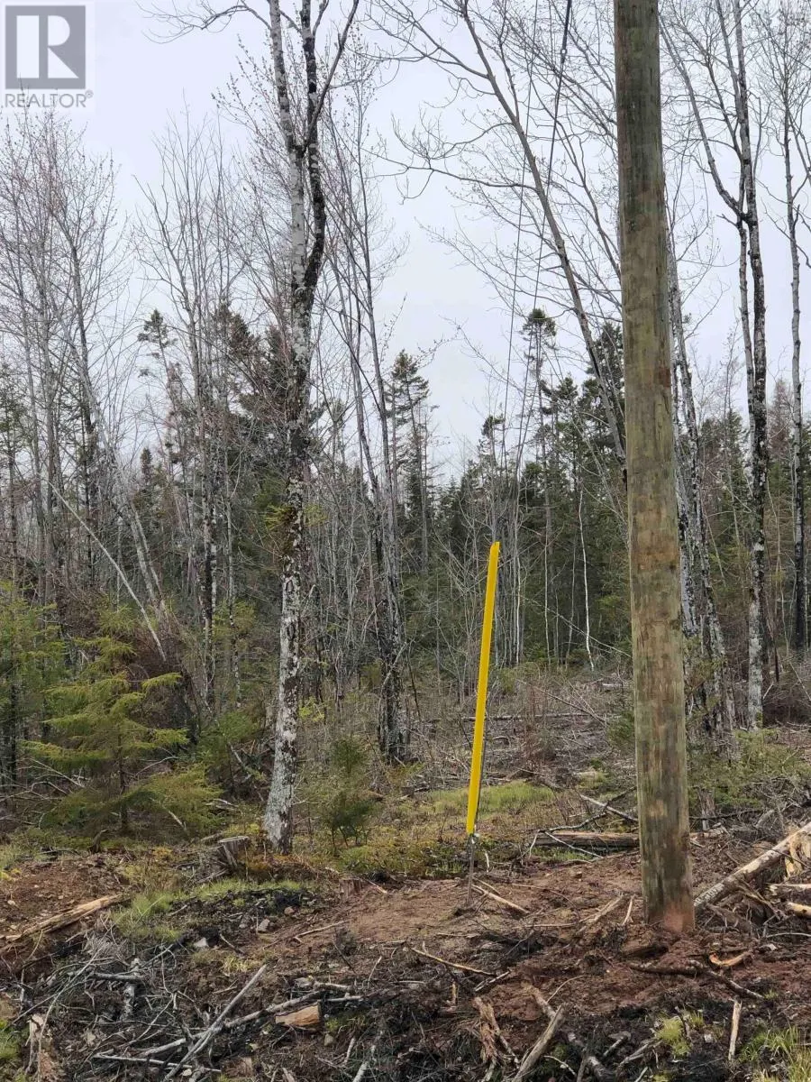 LOT 6 Tattrie Settlement Road