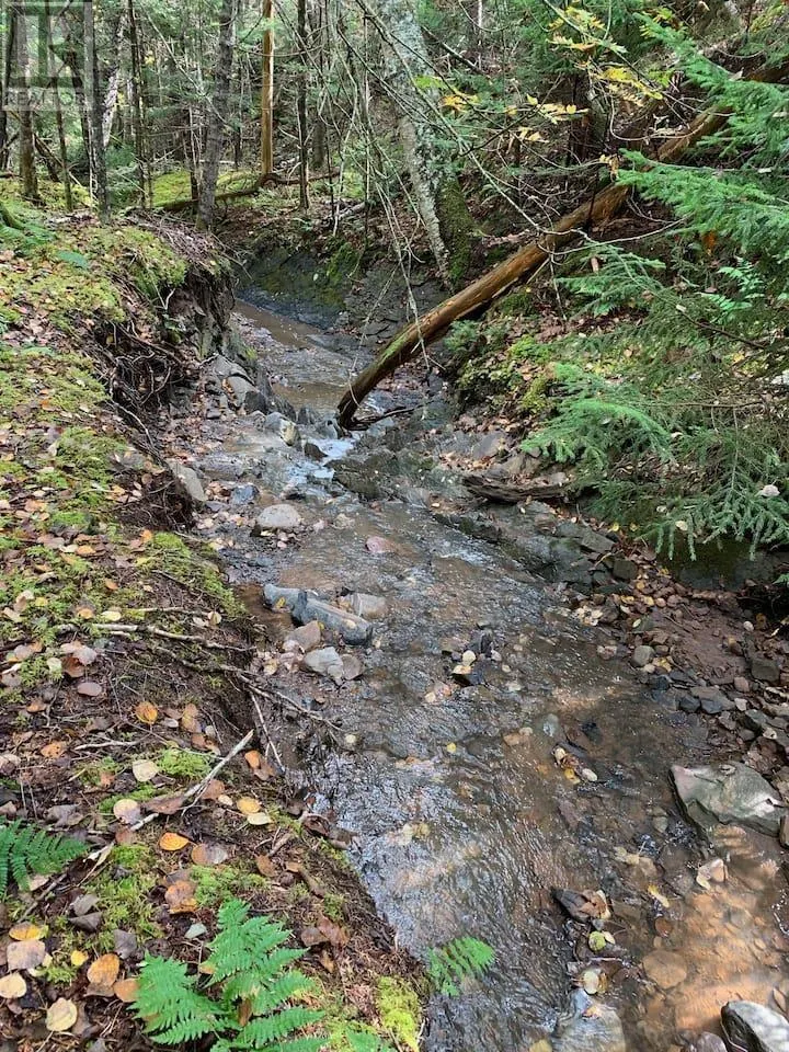 146 Pinky Creek Road
