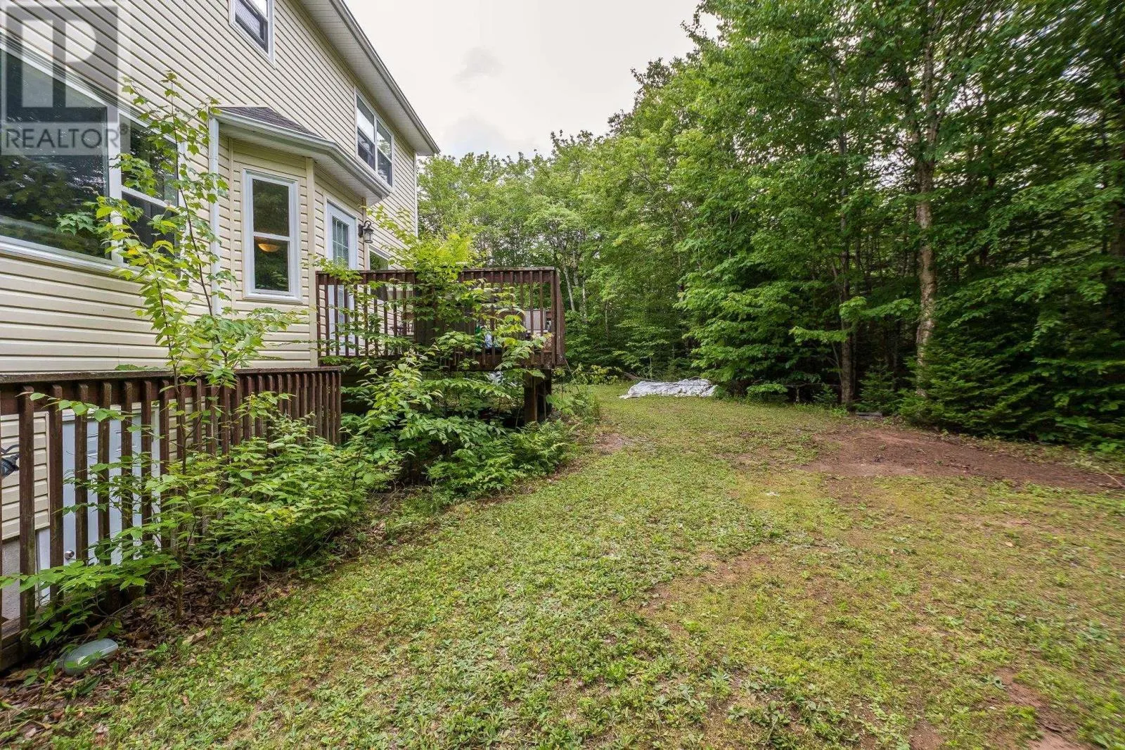 280 Daisywood