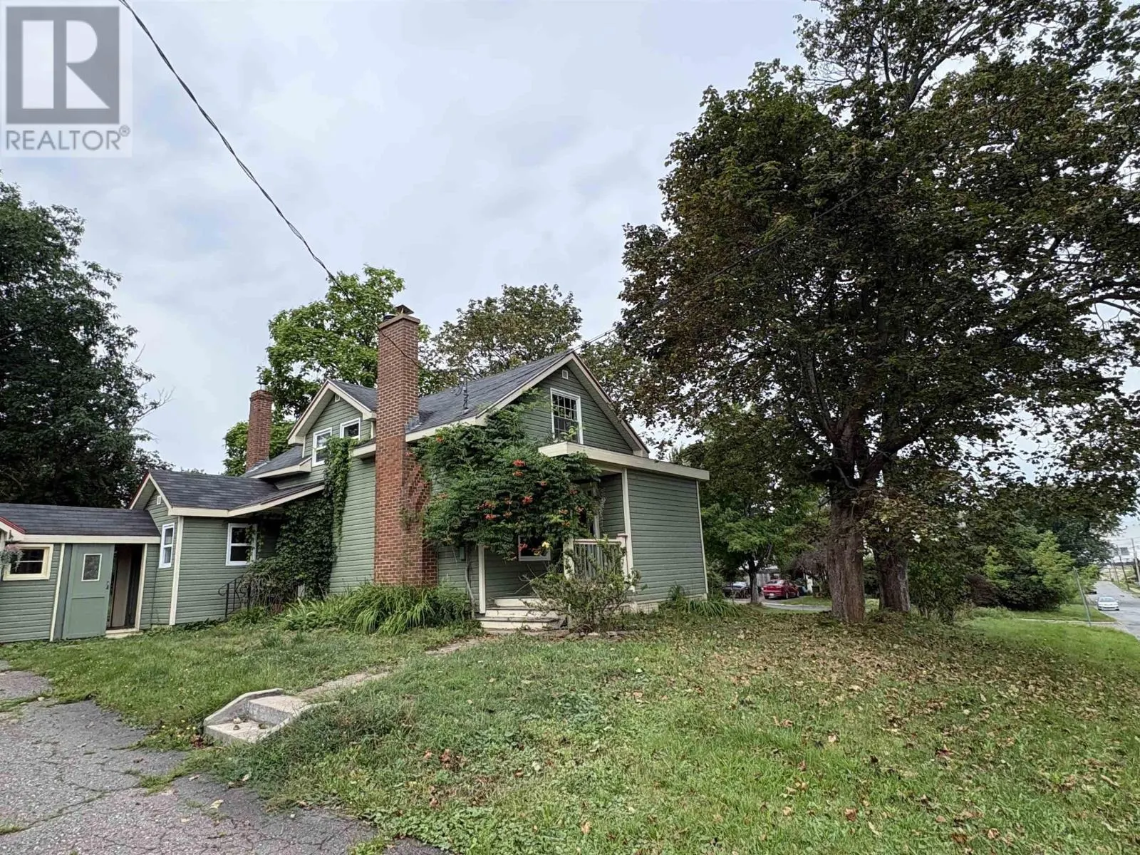 50 Rose Avenue