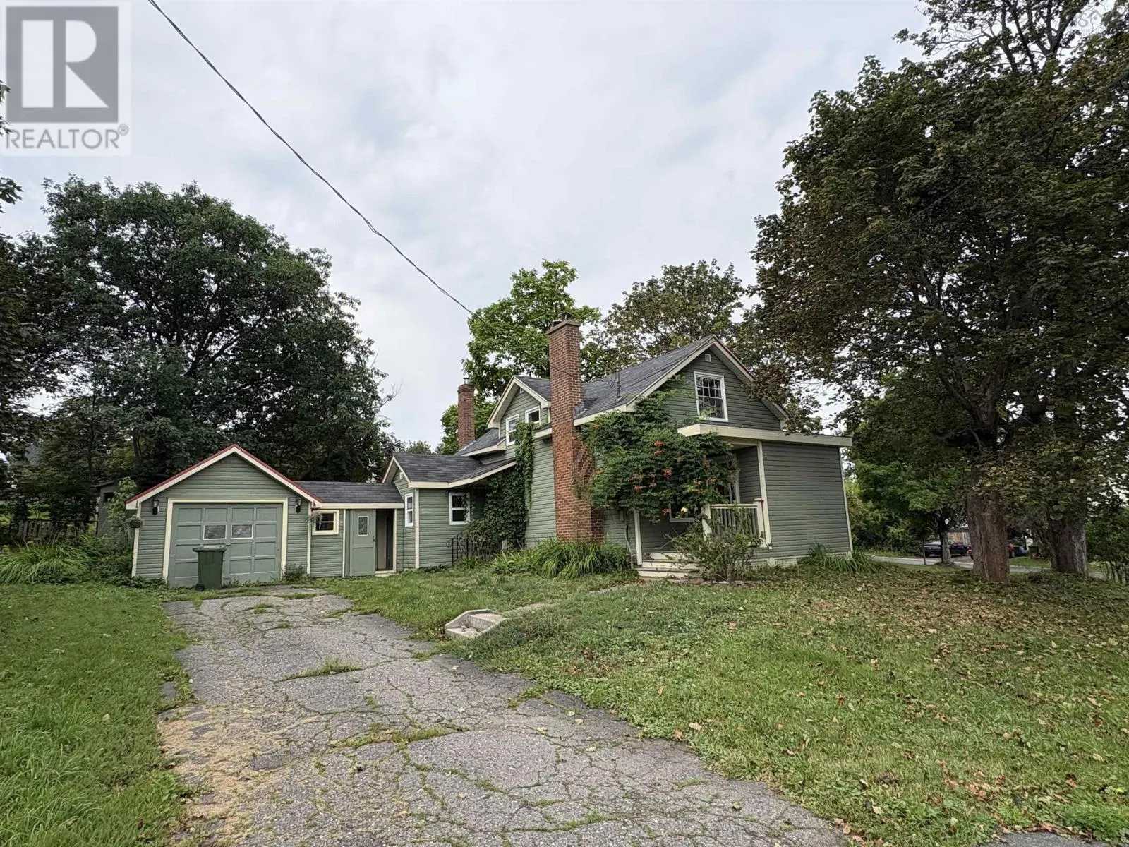 50 Rose Avenue