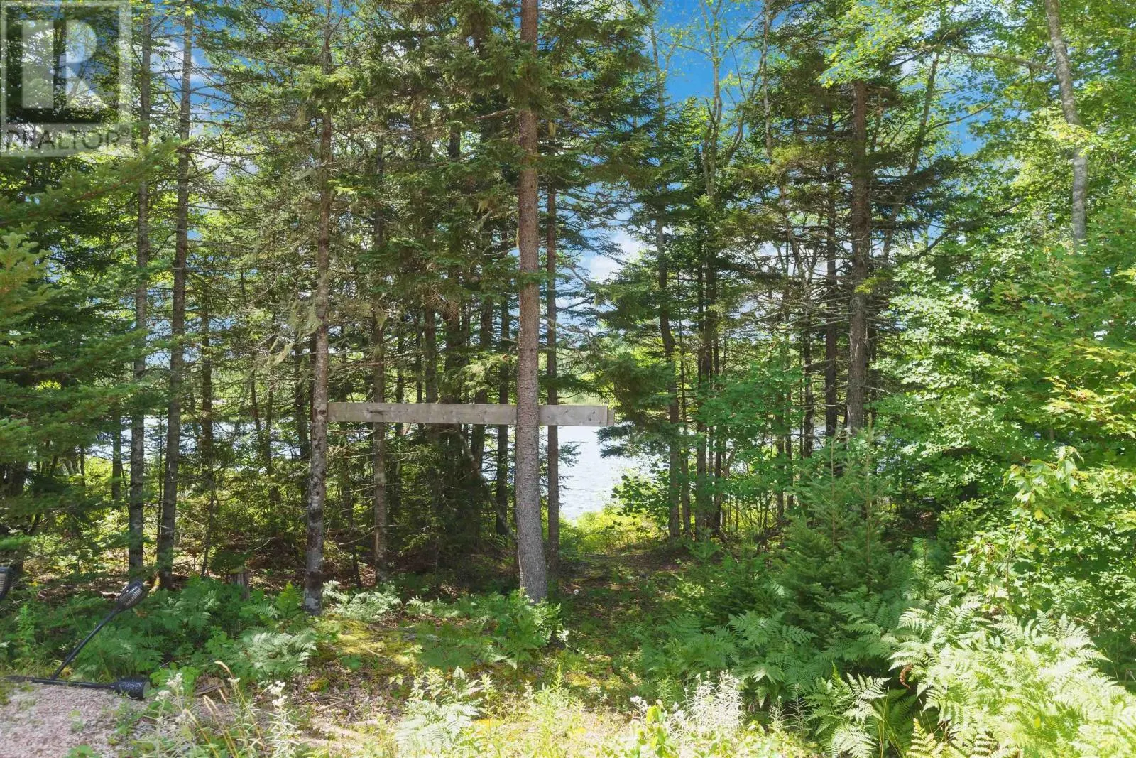 355 Airforce Camp Road