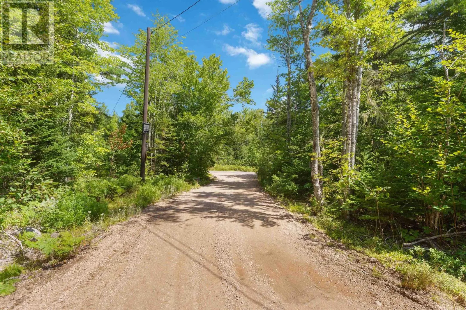 355 Airforce Camp Road