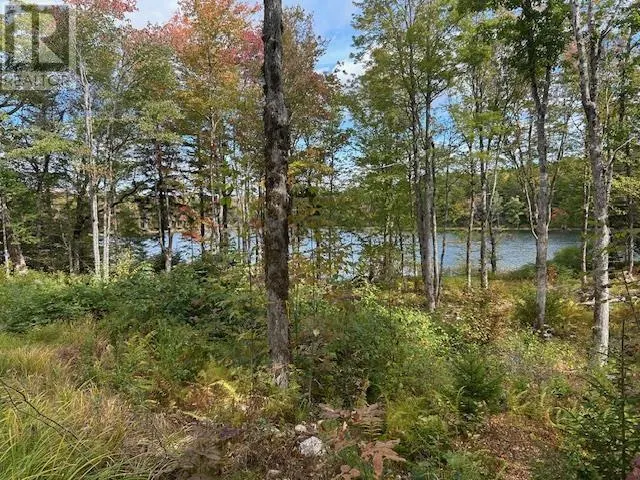 Lot 4 Lakeshore Drive