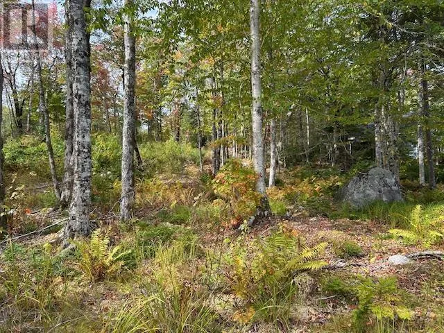 Lot 4 Lakeshore Drive