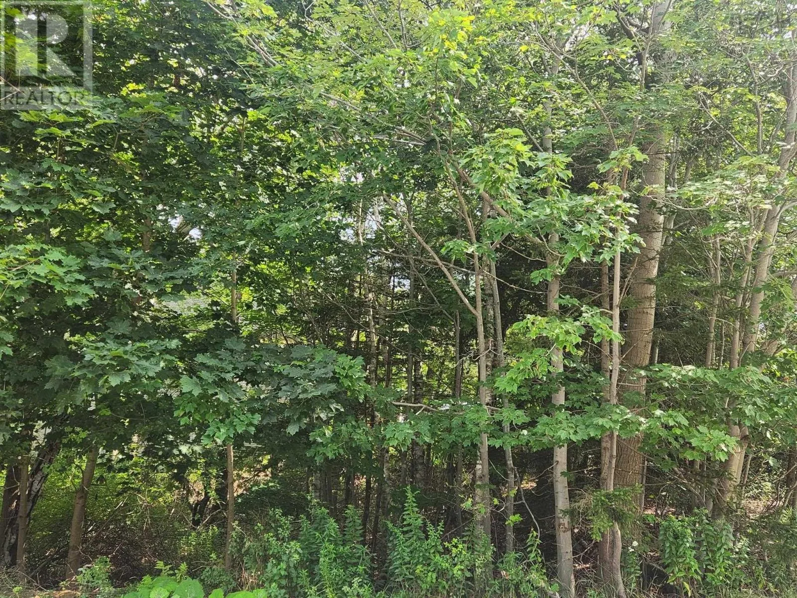 1 Pinehaven Drive