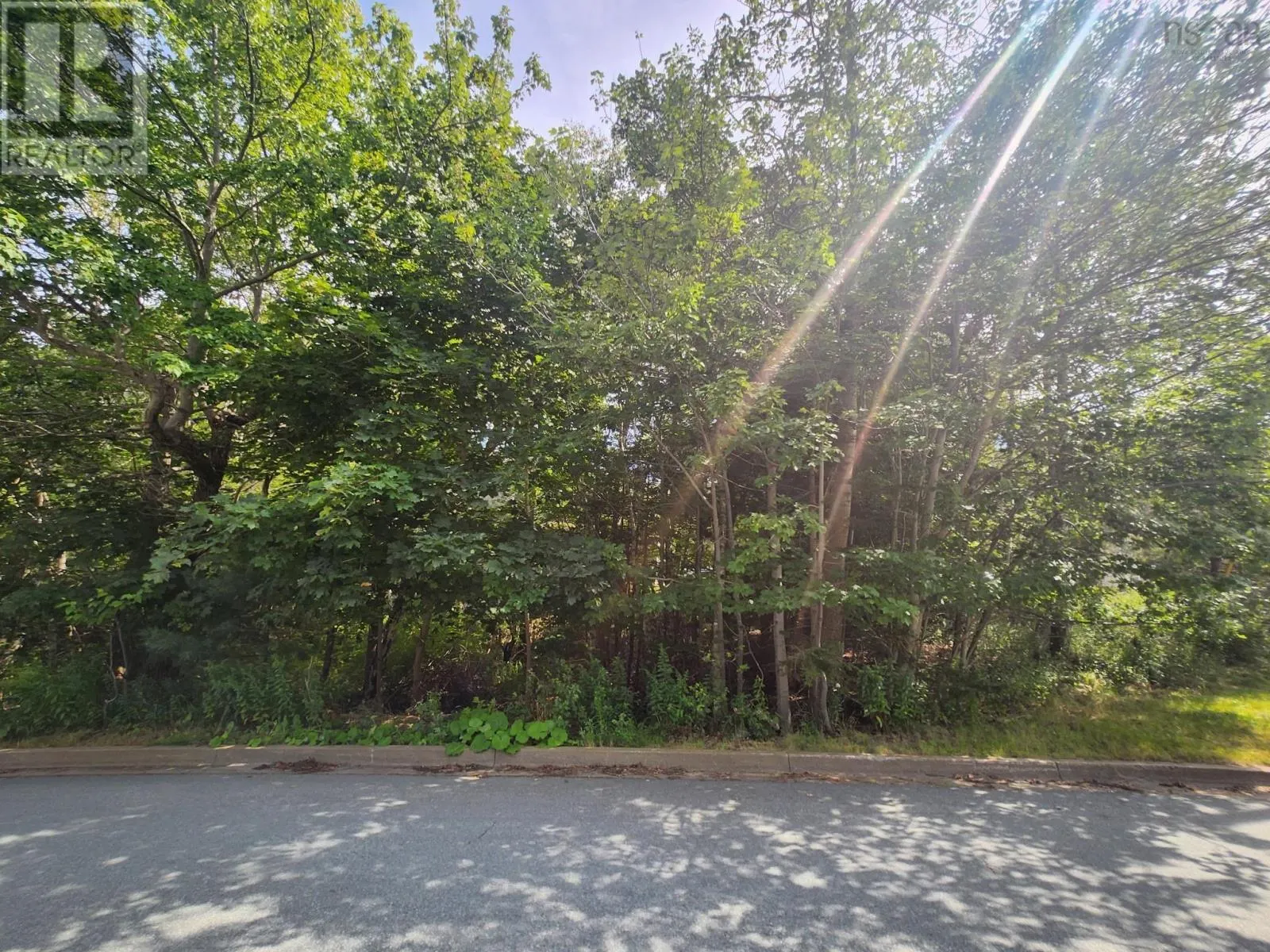 1 Pinehaven Drive