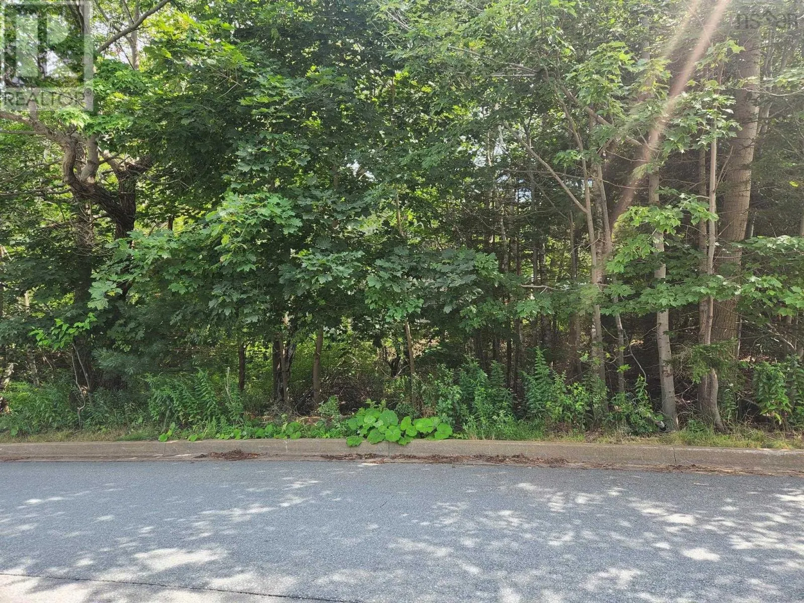 1 Pinehaven Drive