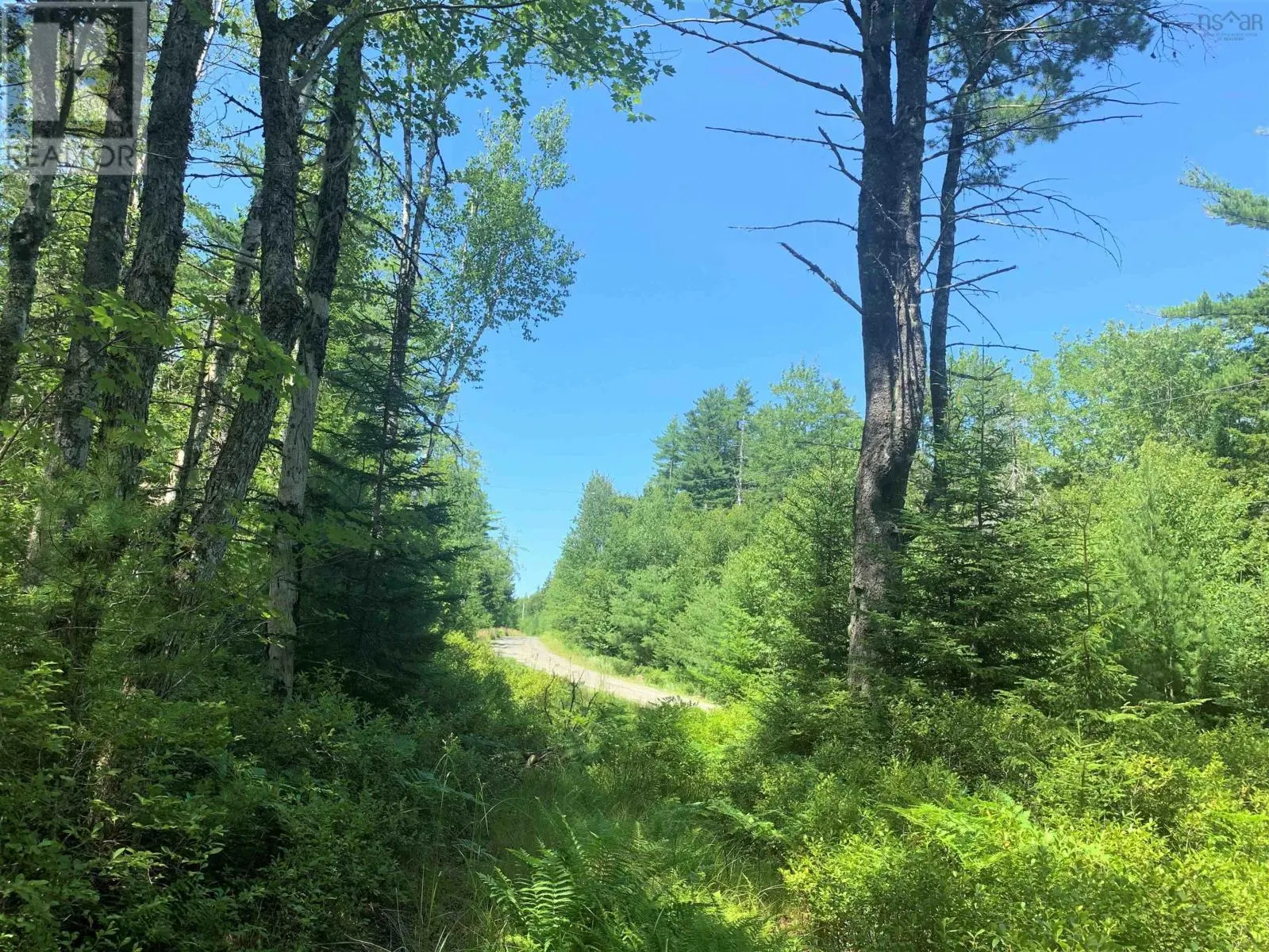 Lot 28, Boutilier Branch Road