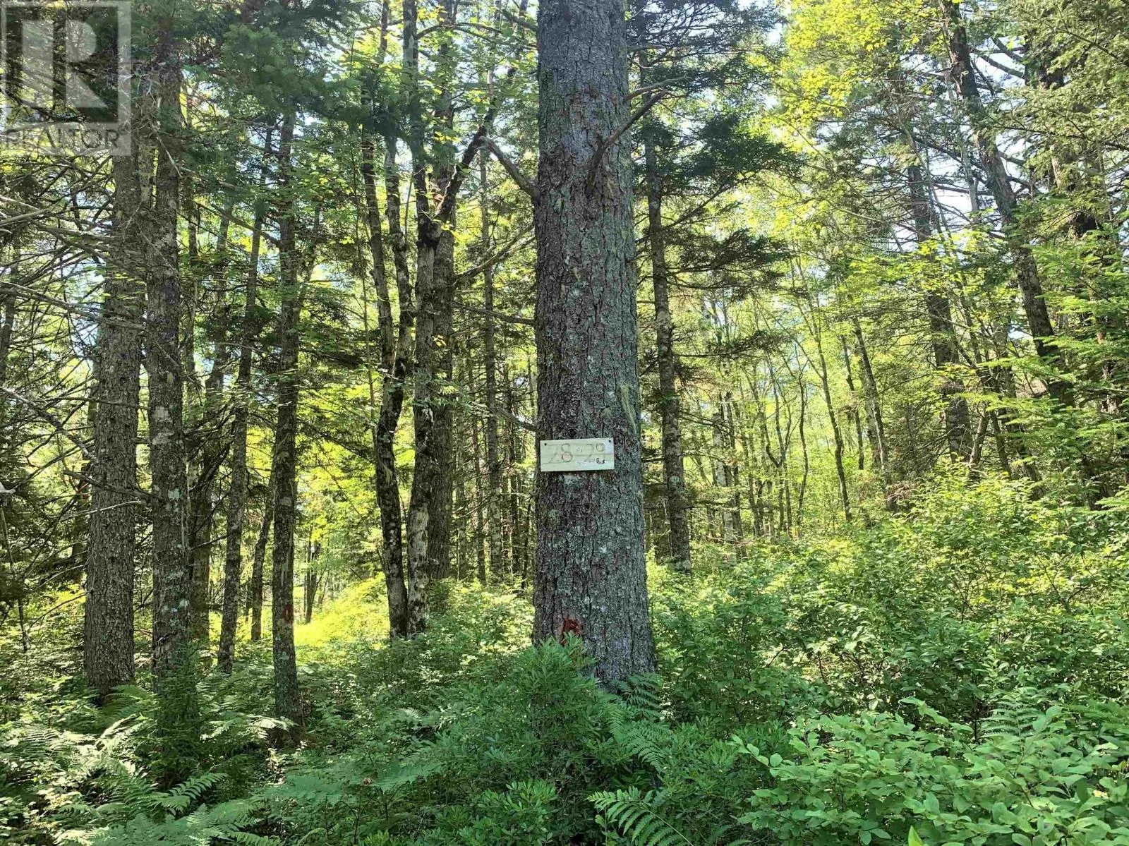 Lot 28, Boutilier Branch Road
