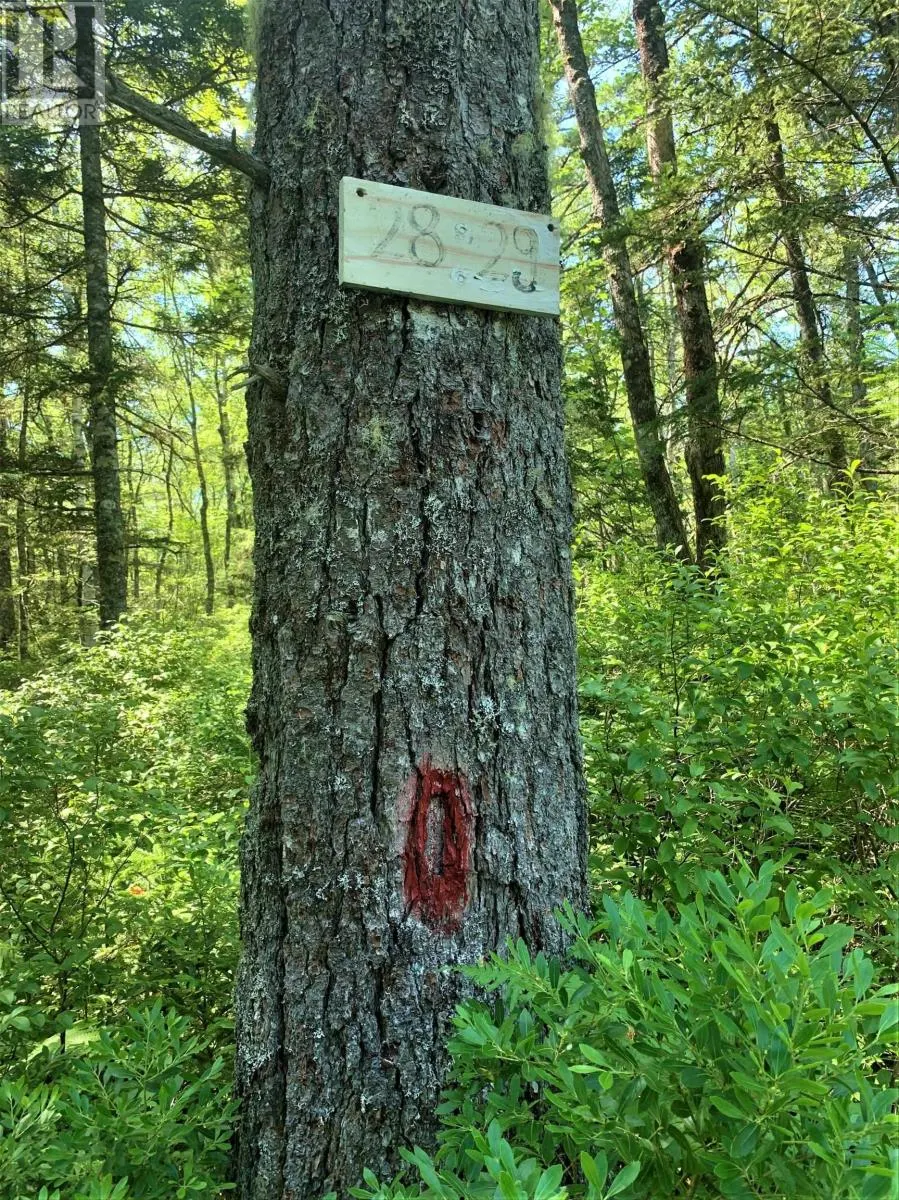 Lot 28, Boutilier Branch Road
