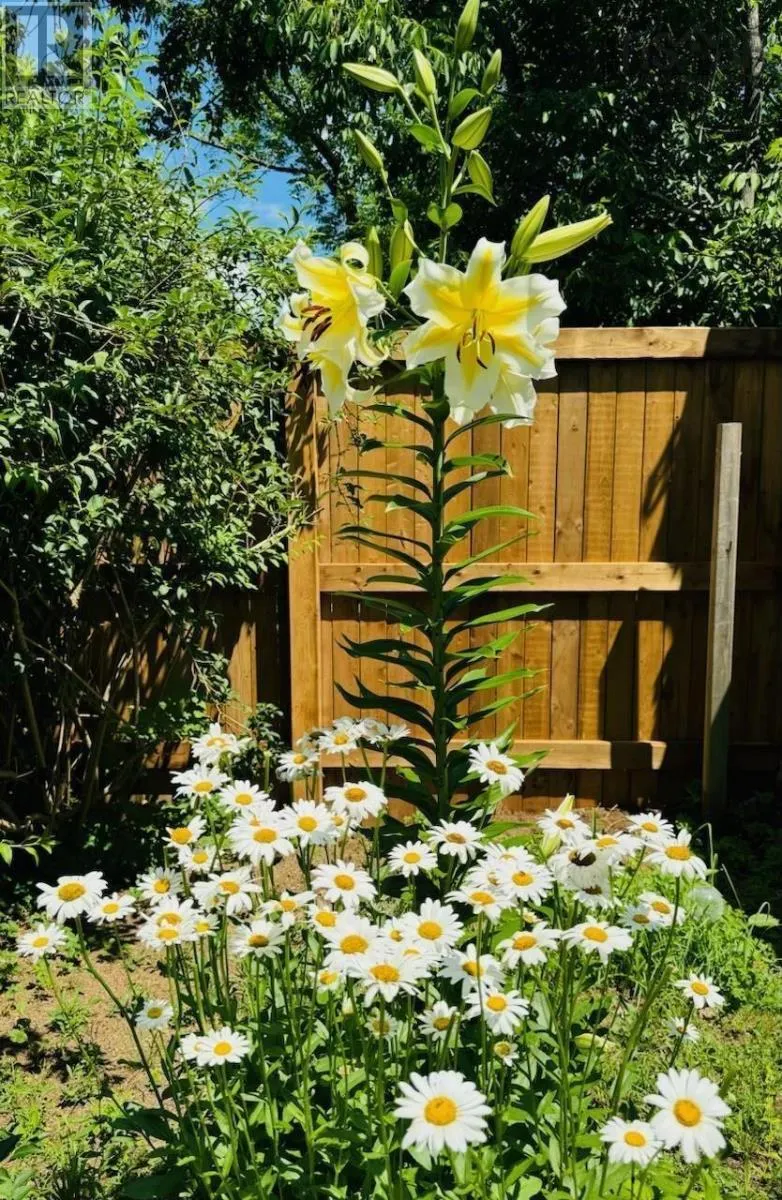 24 QUEEN Street