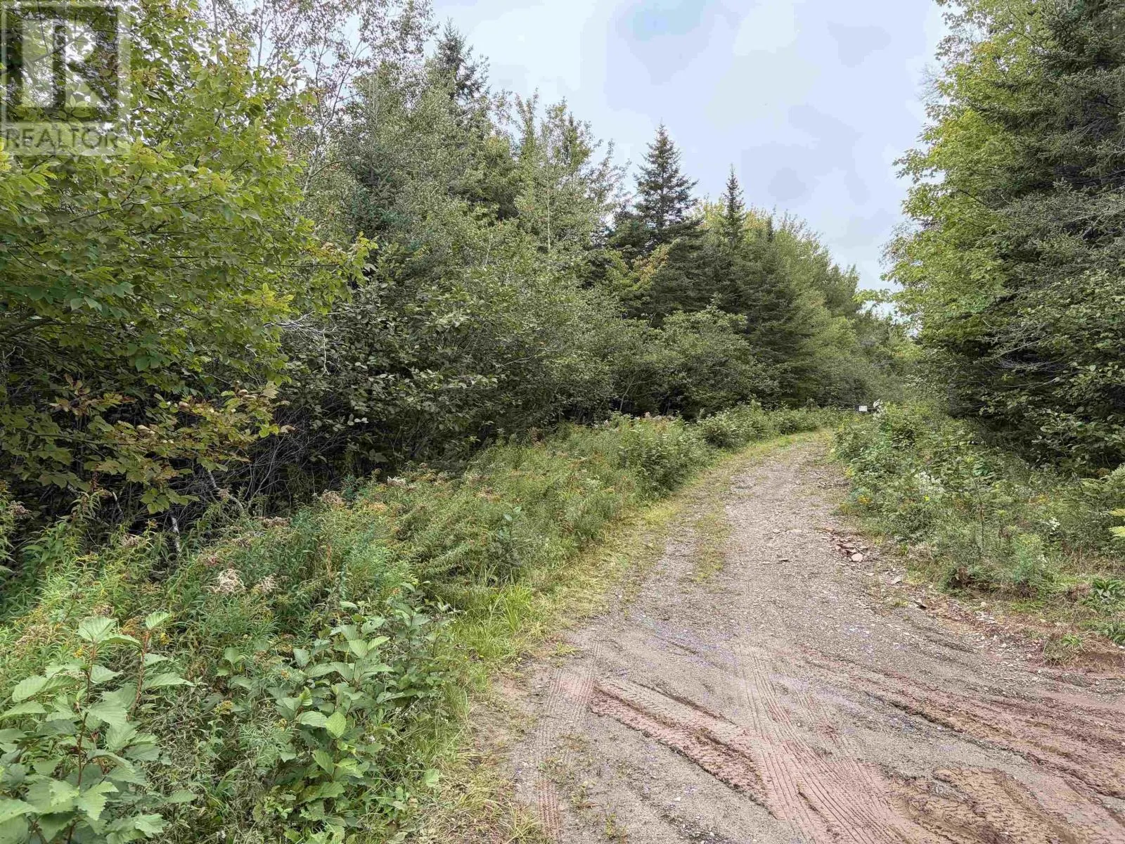 Sibley Road
