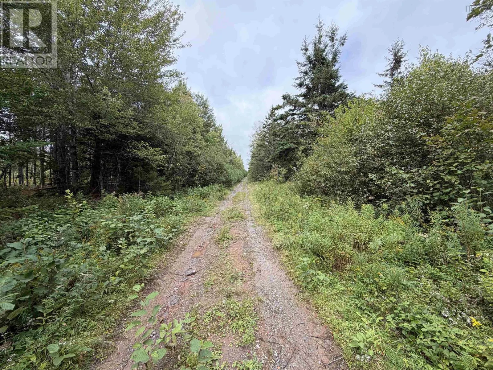 Sibley Road