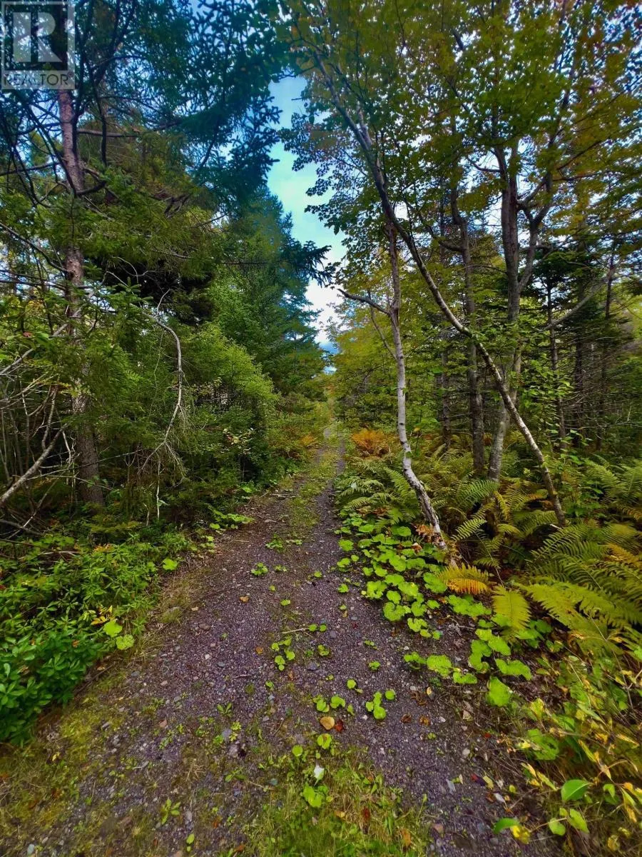 2209 Lingan Road Road