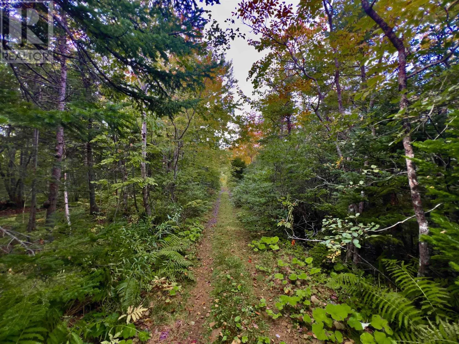 2209 Lingan Road Road