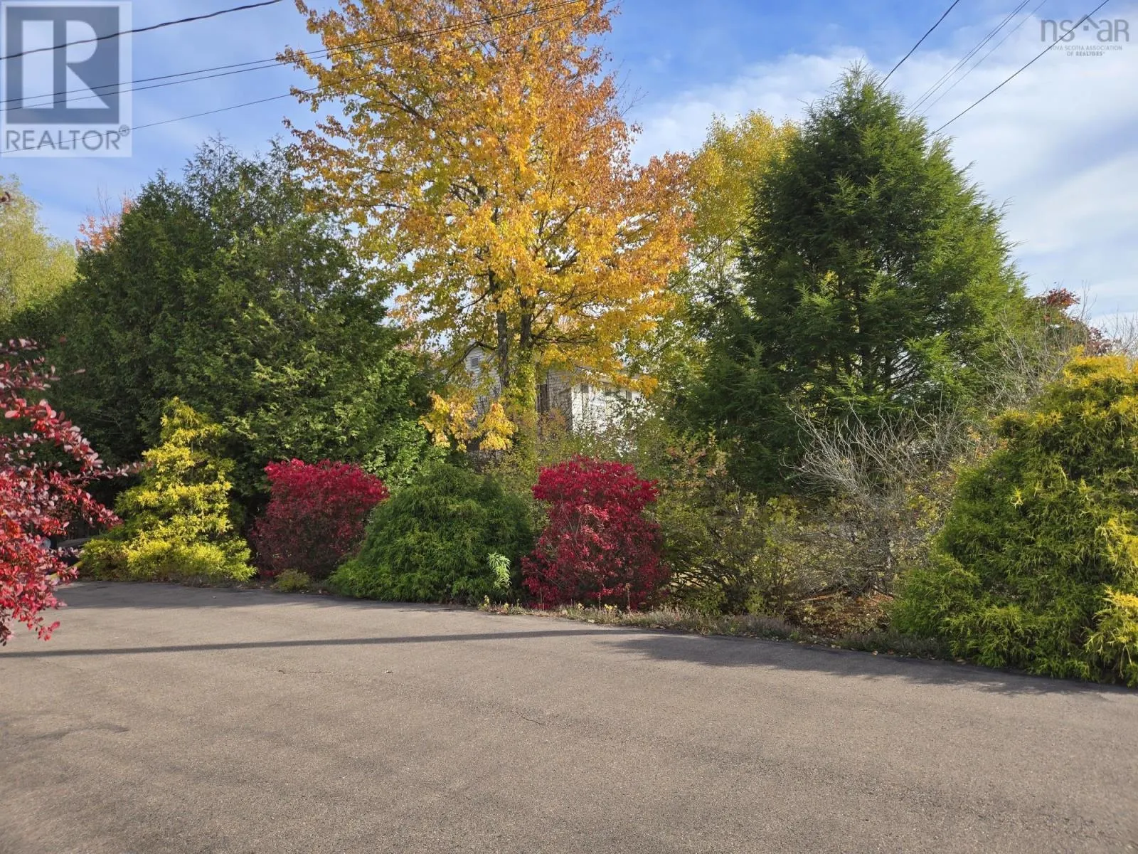 40 Silverwood Dr.