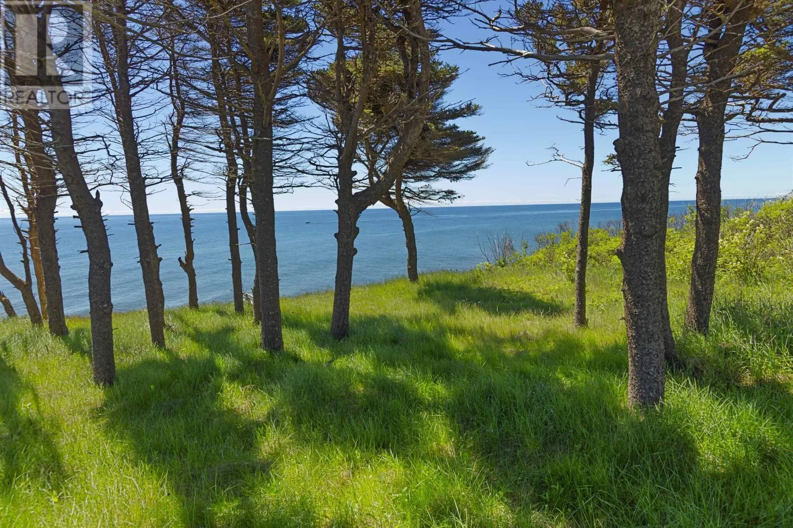 280 Lighthouse Road