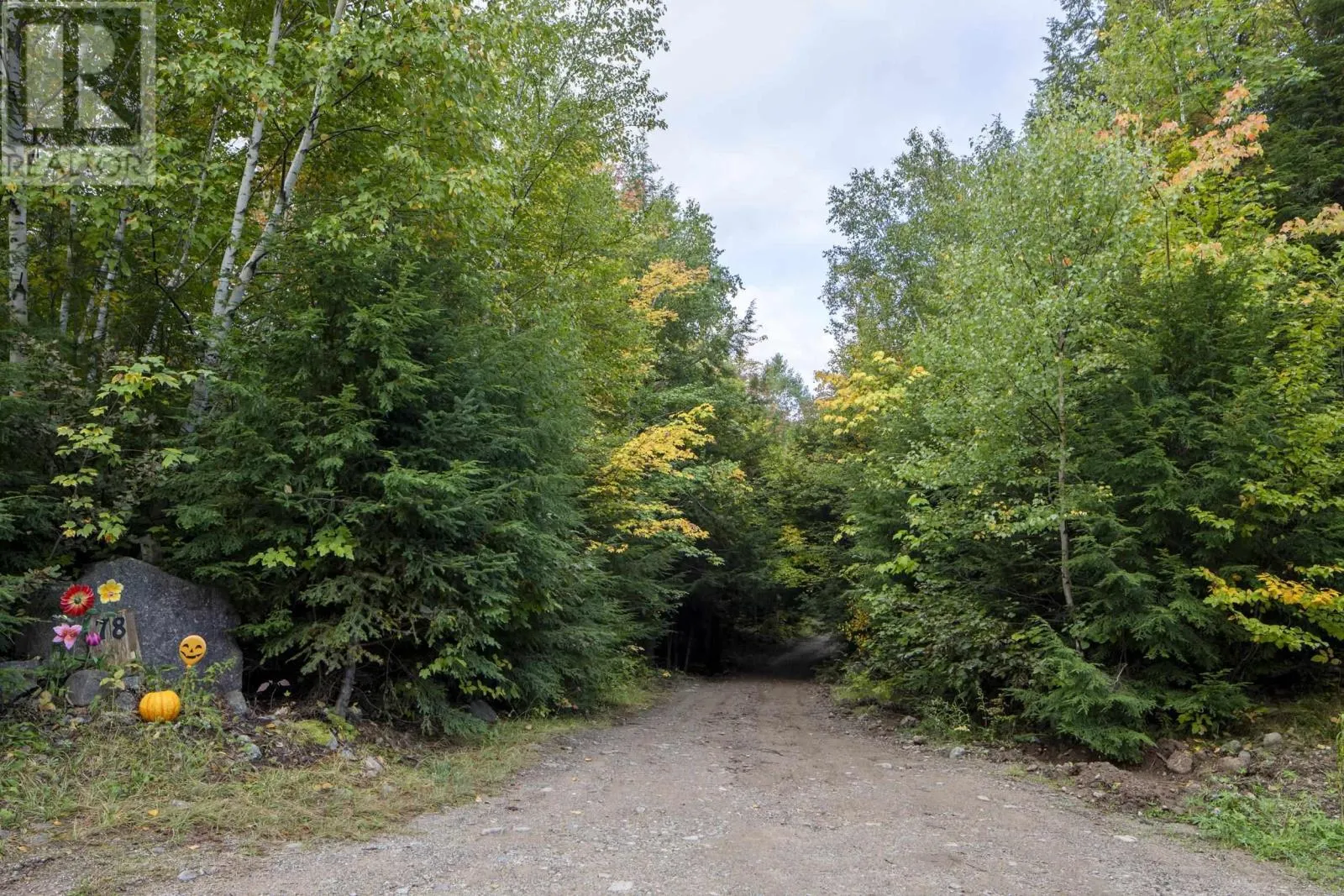 78 White Birch Lane