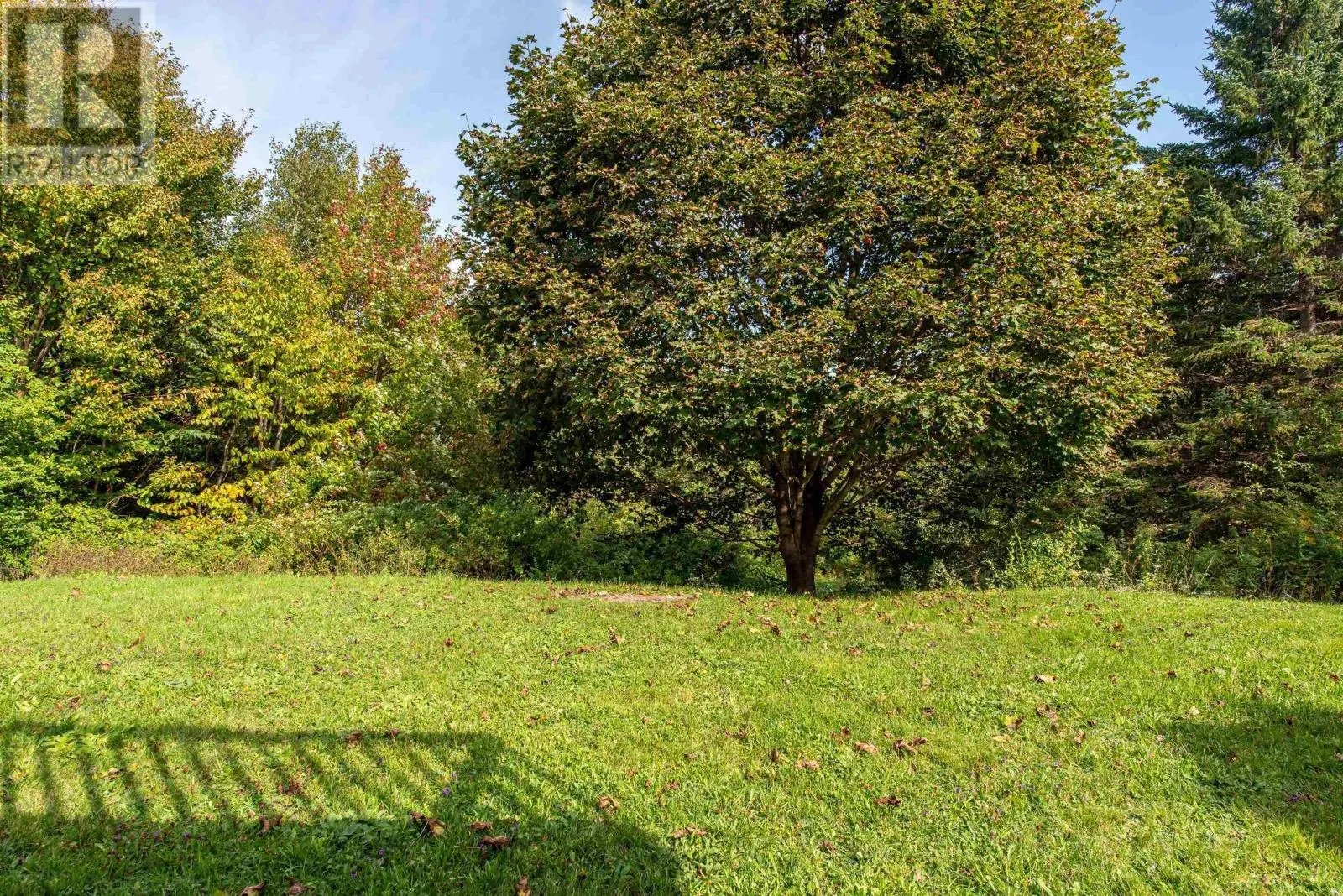 96 THORNHILL Drive