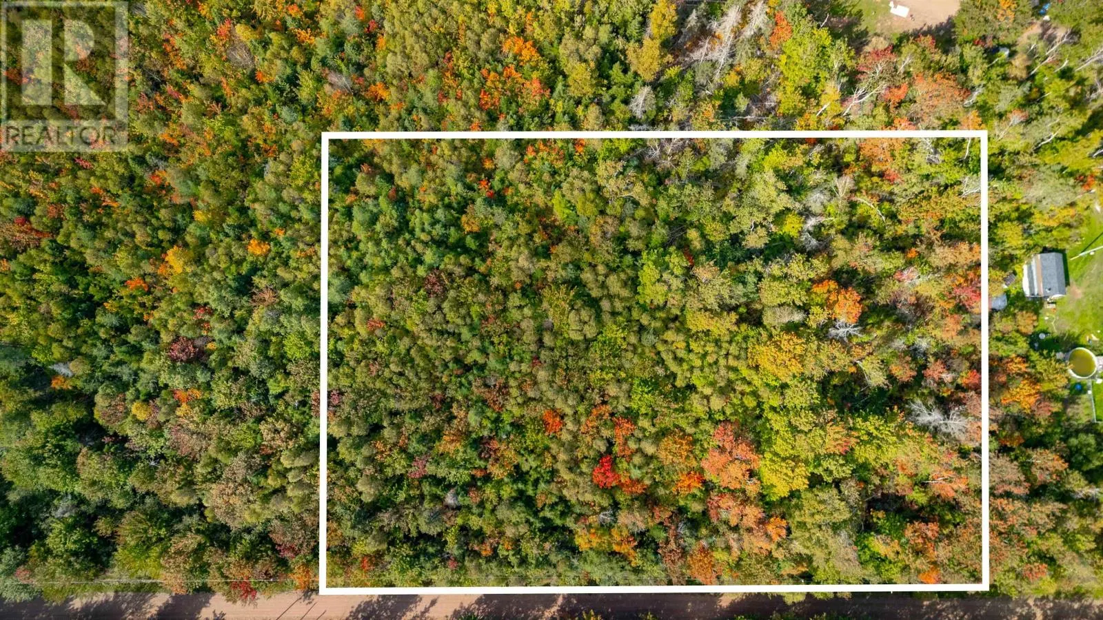 Lot WALSH Road
