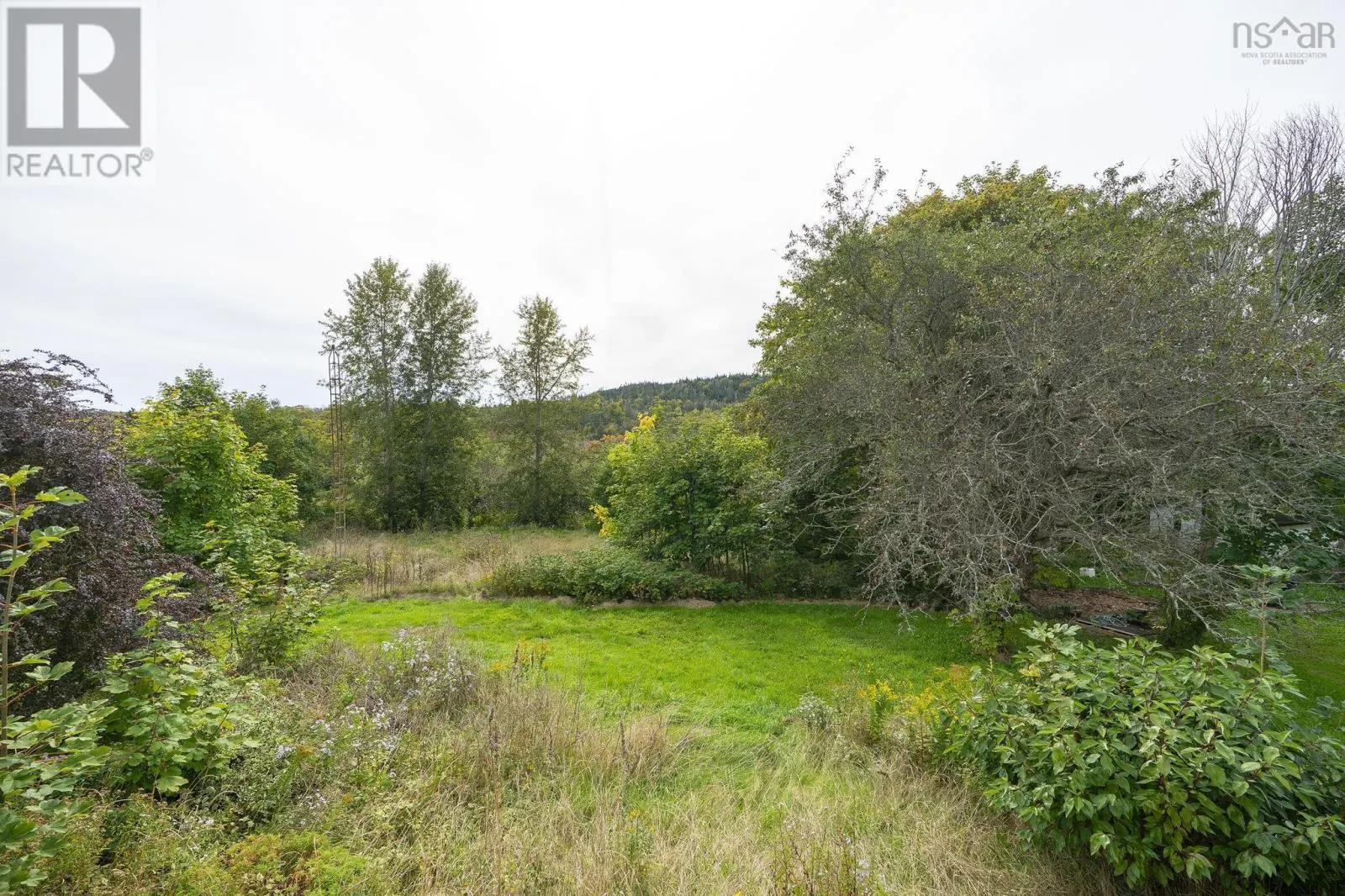 197 Trout Cove Road