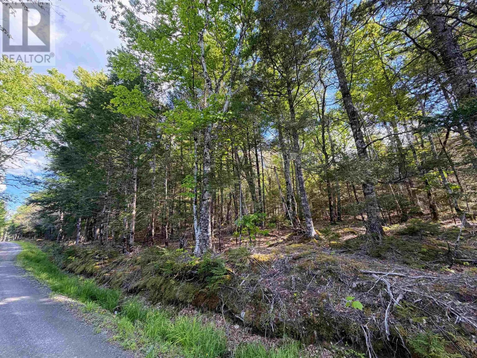 Lot Old Coach Road
