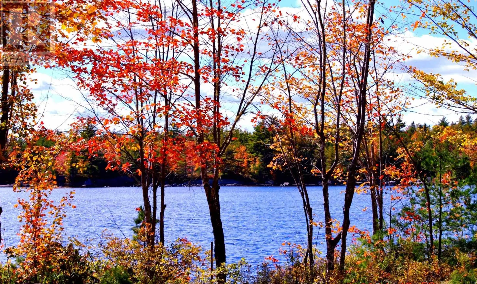 Lot 9 Woodstock Road