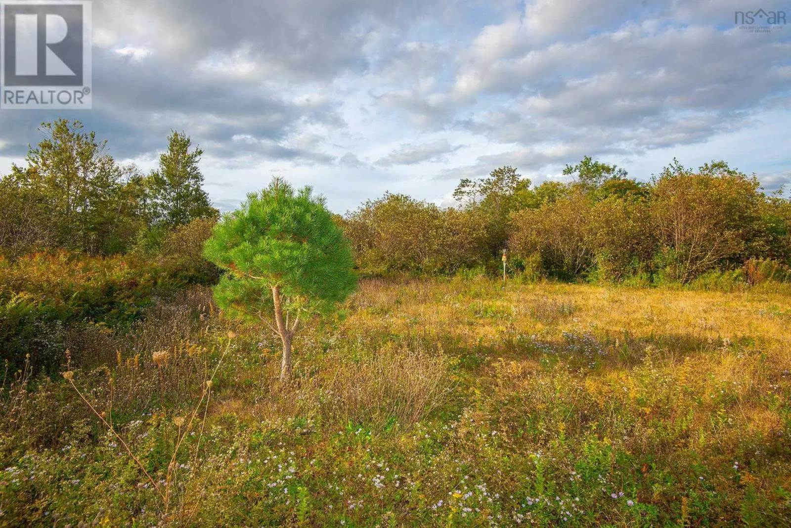 Lot Eustache Comeau Road