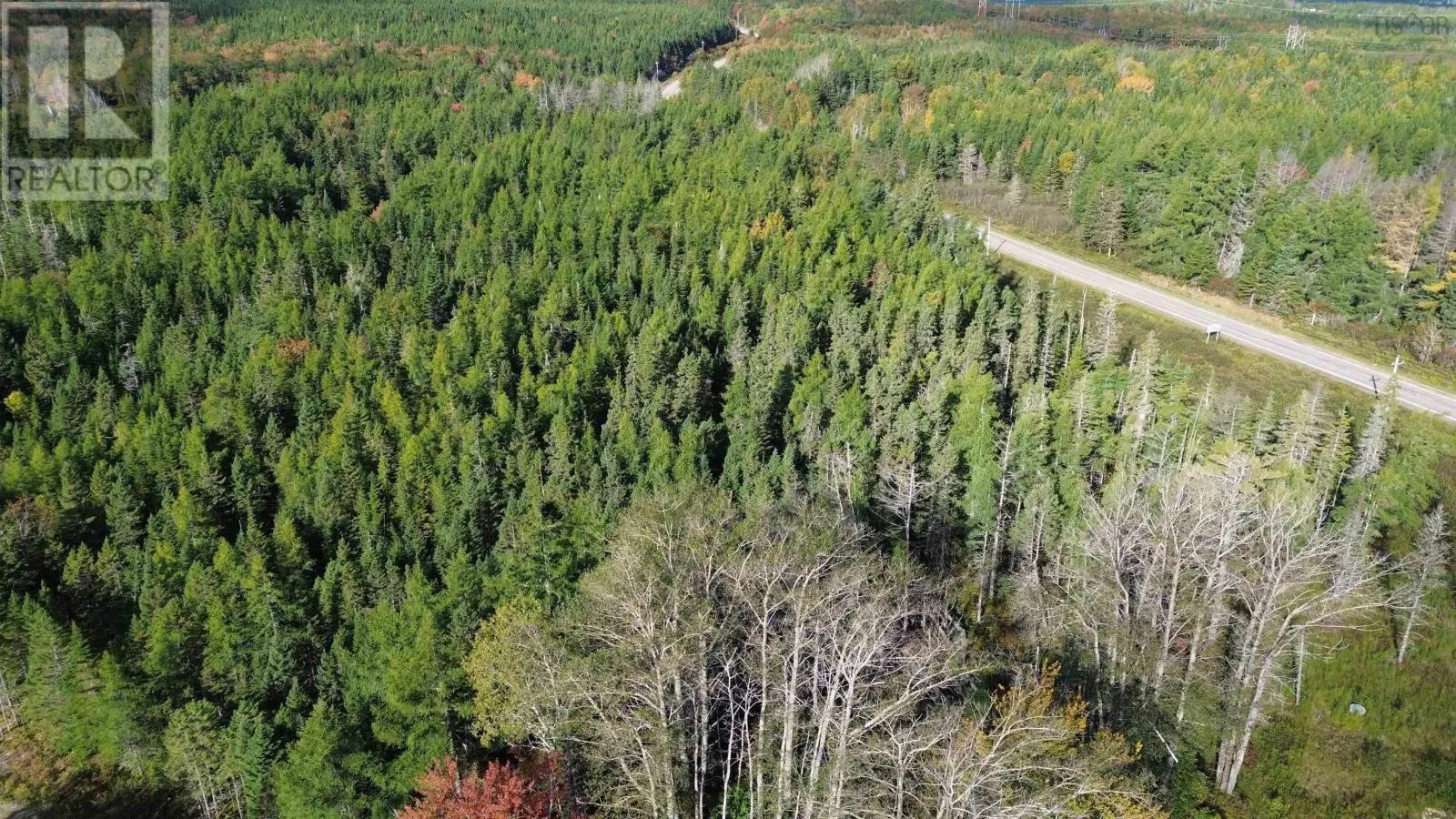No 4 Highway