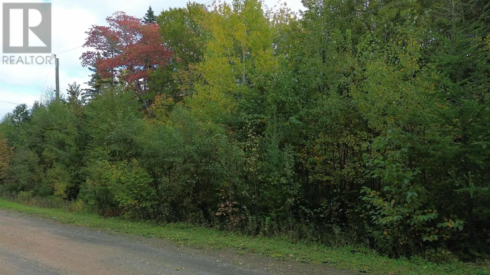 Redbird Drive