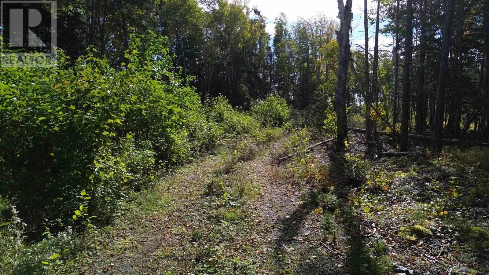 Marble Mountain Road