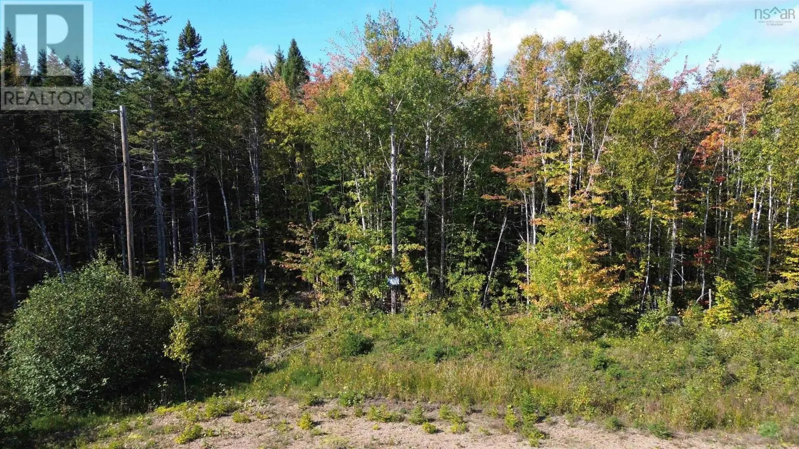 Marble Mountain Road