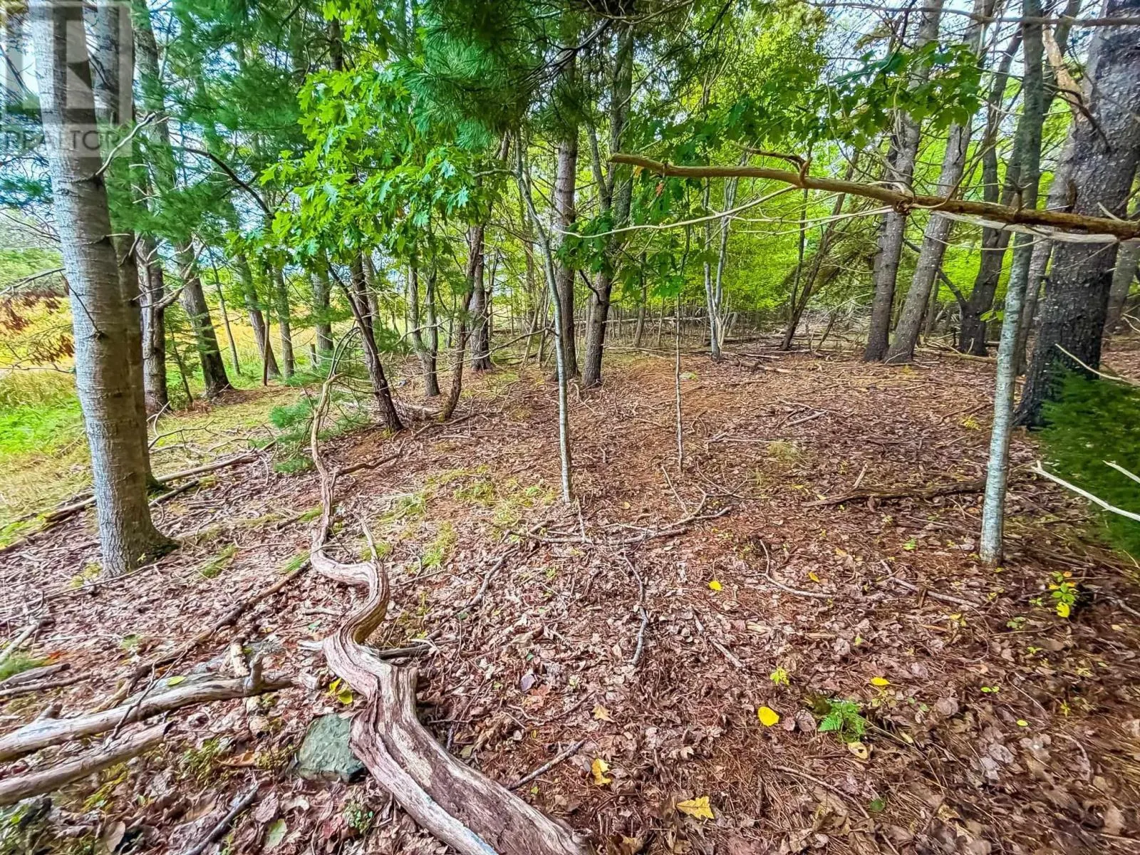 Lot 2 Martins Point Road