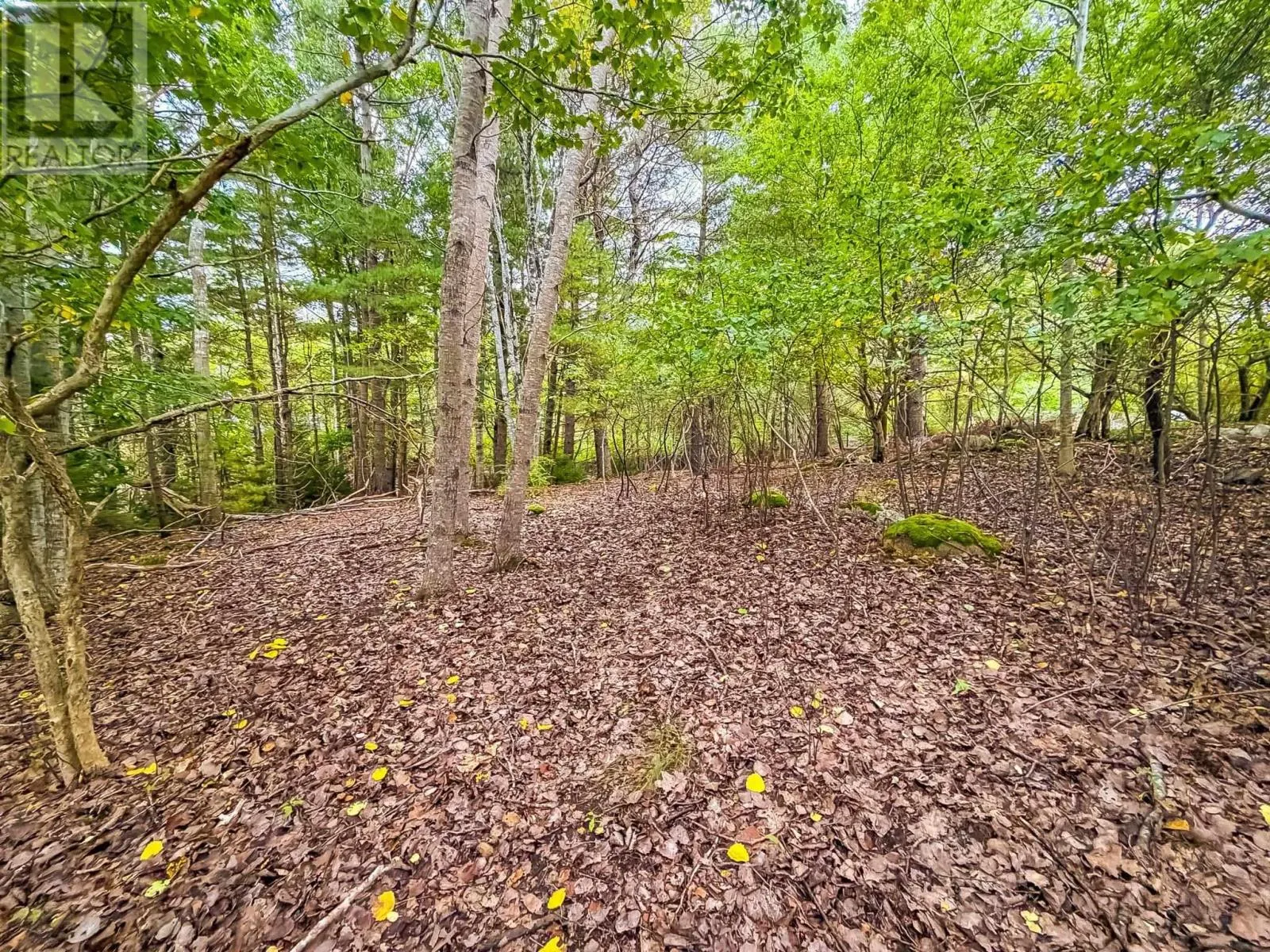 Lot 2 Martins Point Road