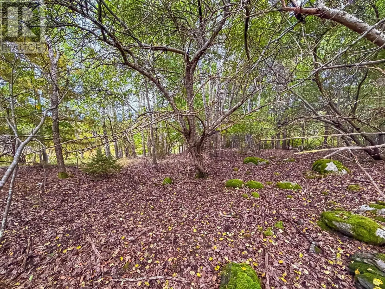 Lot 2 Martins Point Road