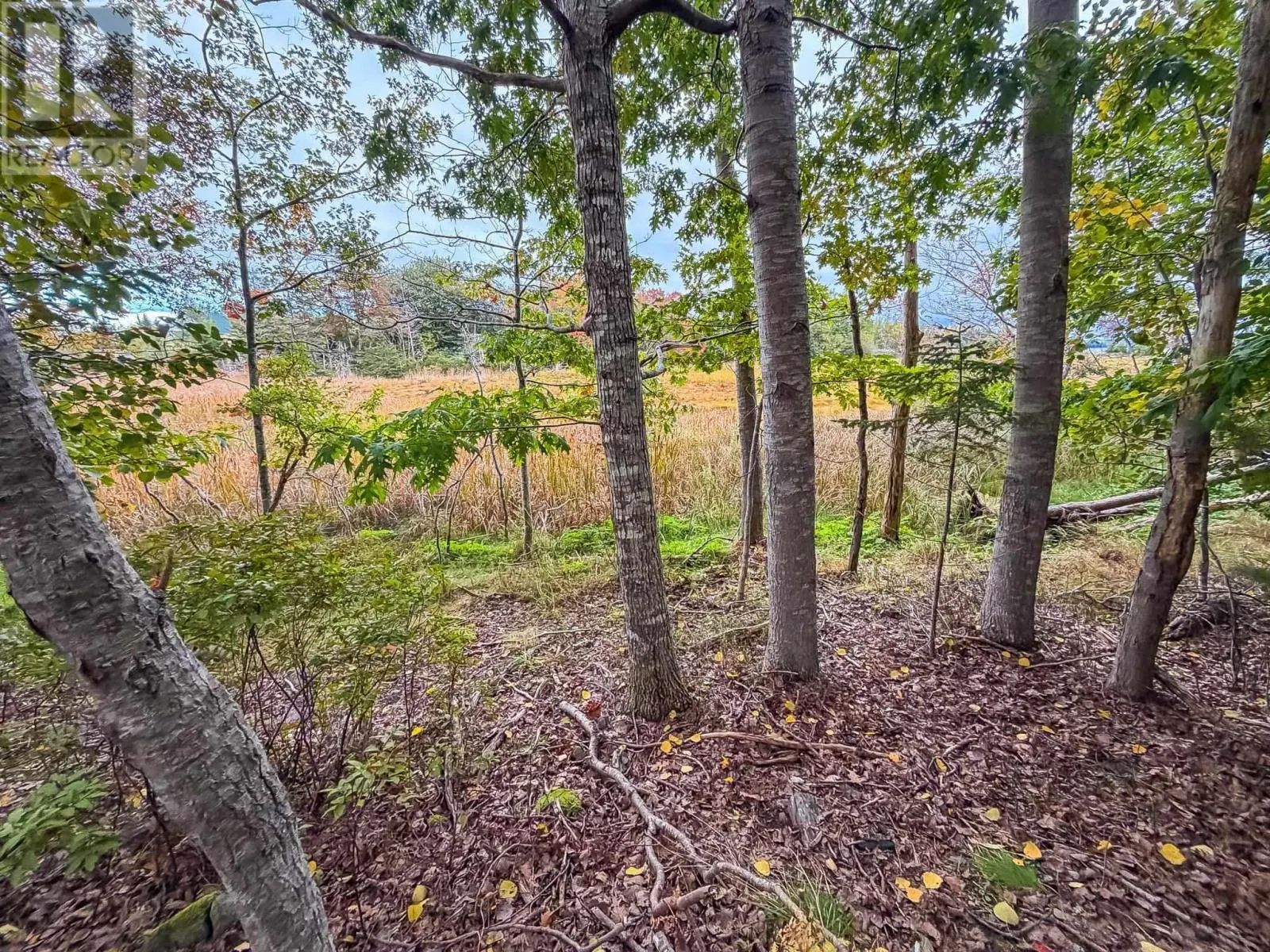Lot 2 Martins Point Road