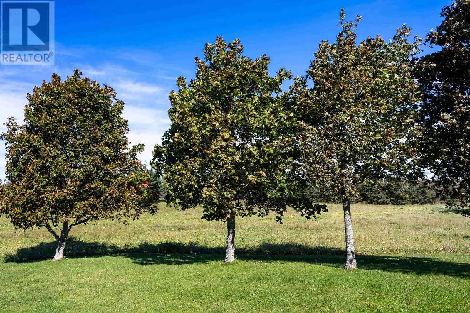 2390 Mt. Stewart Road