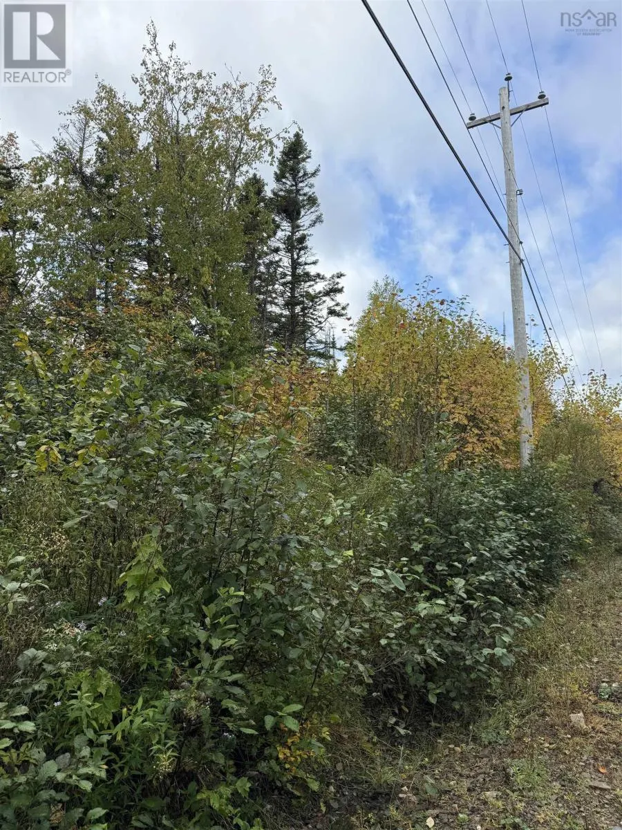 Tower Road
