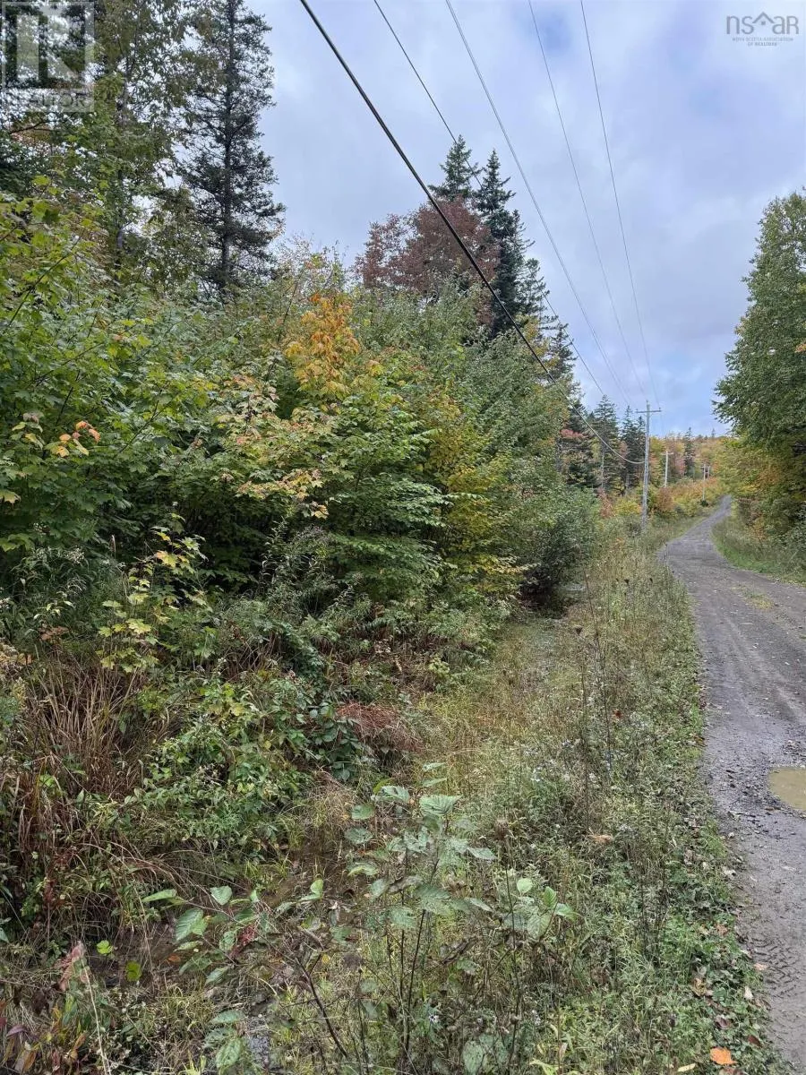 Tower Road