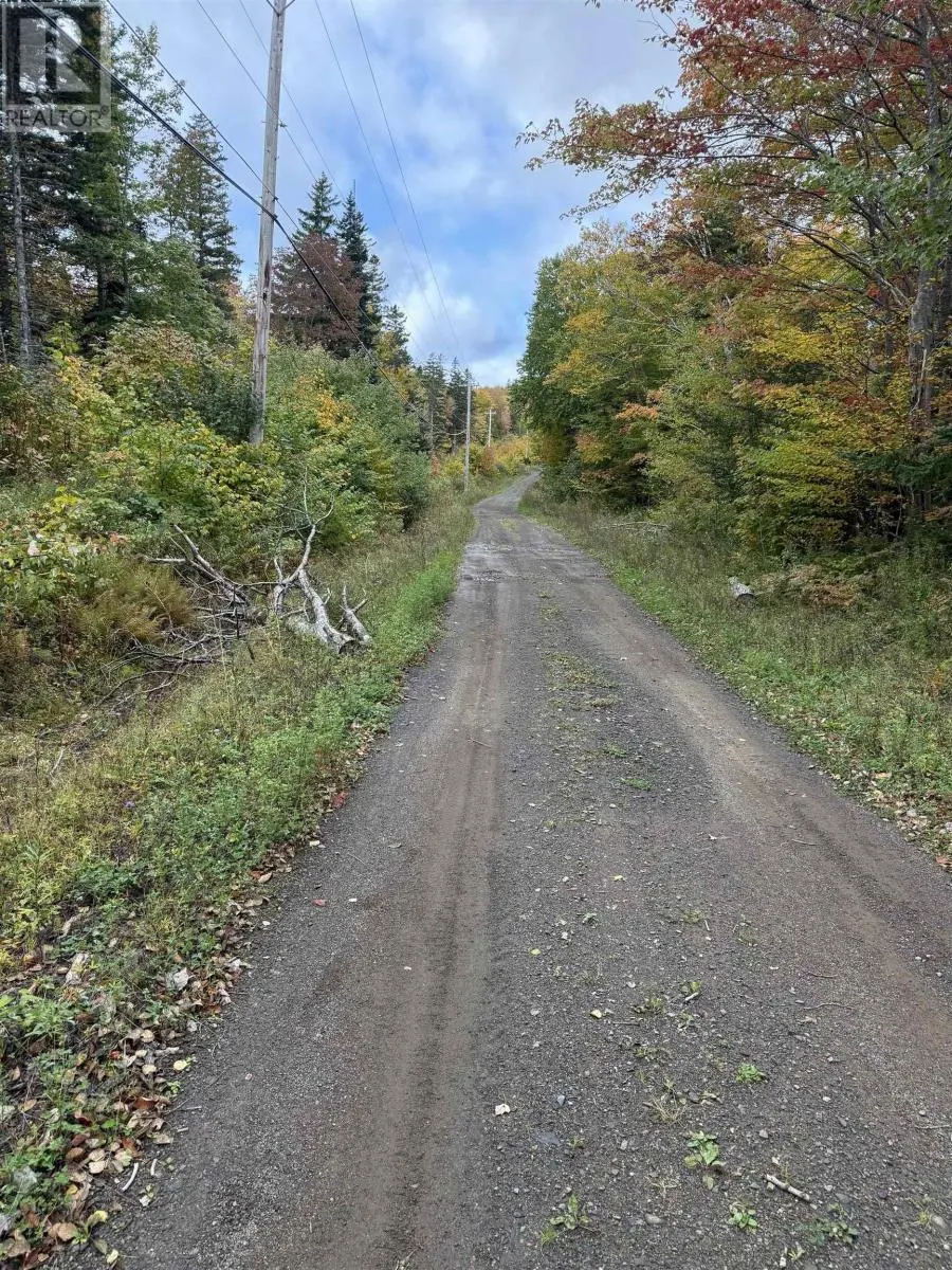 Tower Road