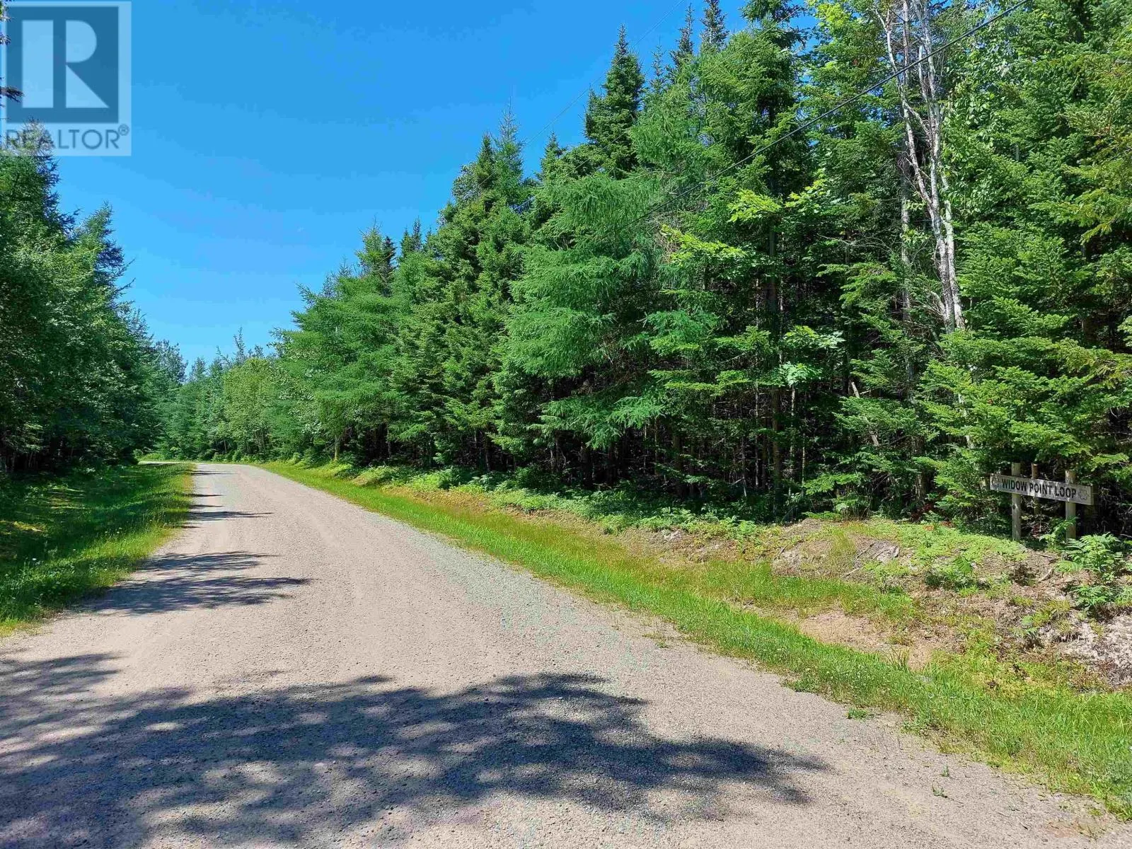 Lot 47E Widow Point Loop