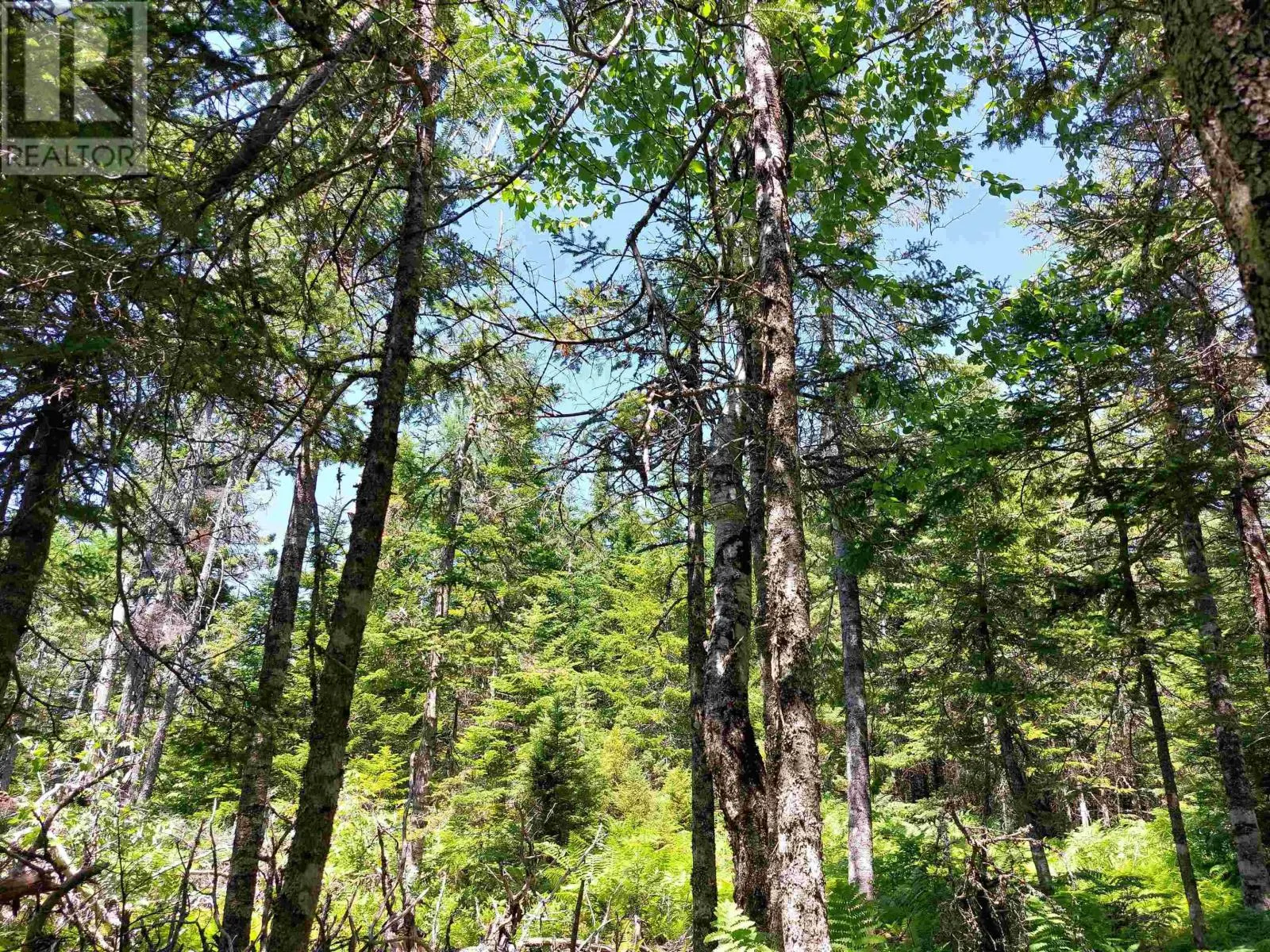 Lot 47E Widow Point Loop
